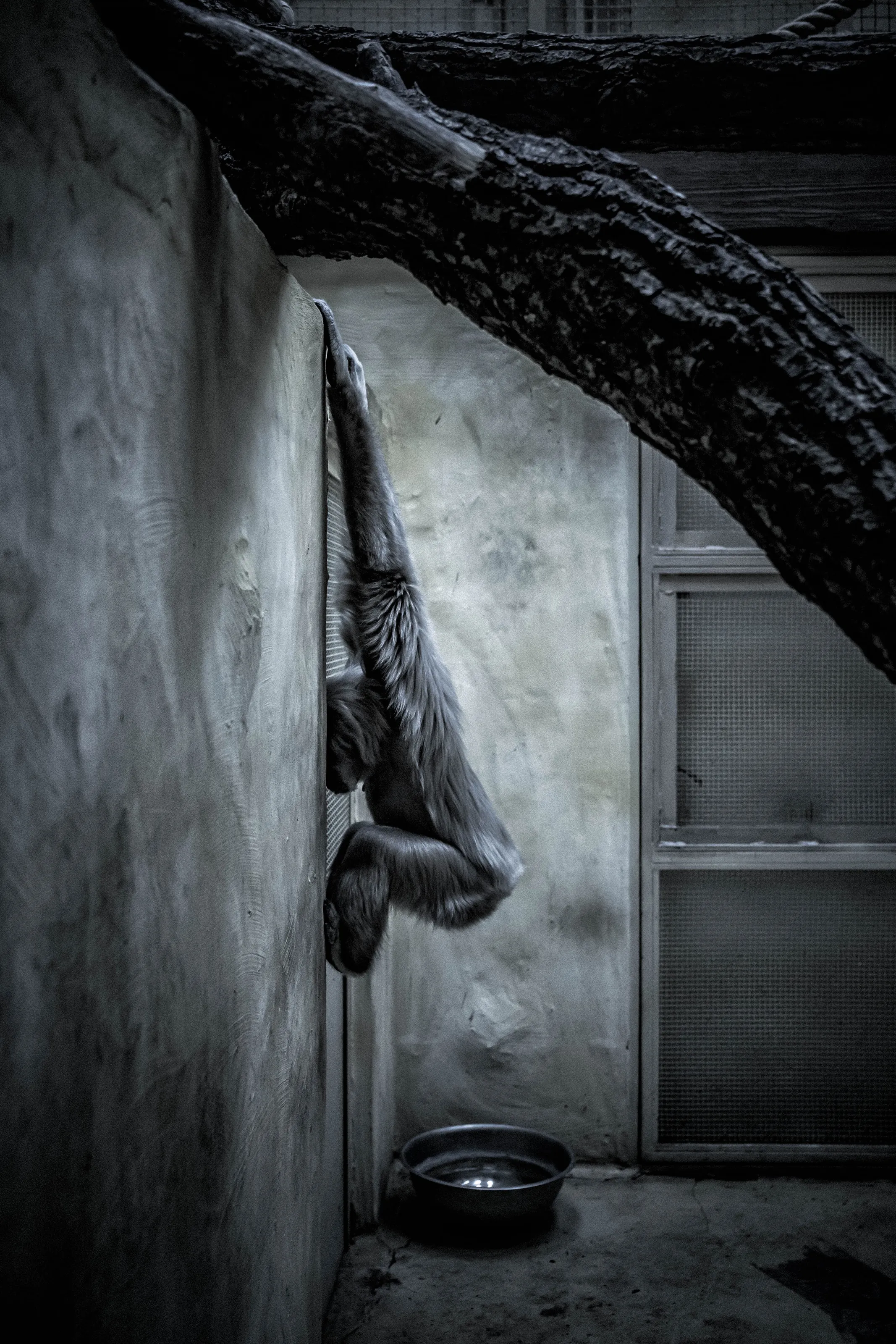 Loneliness