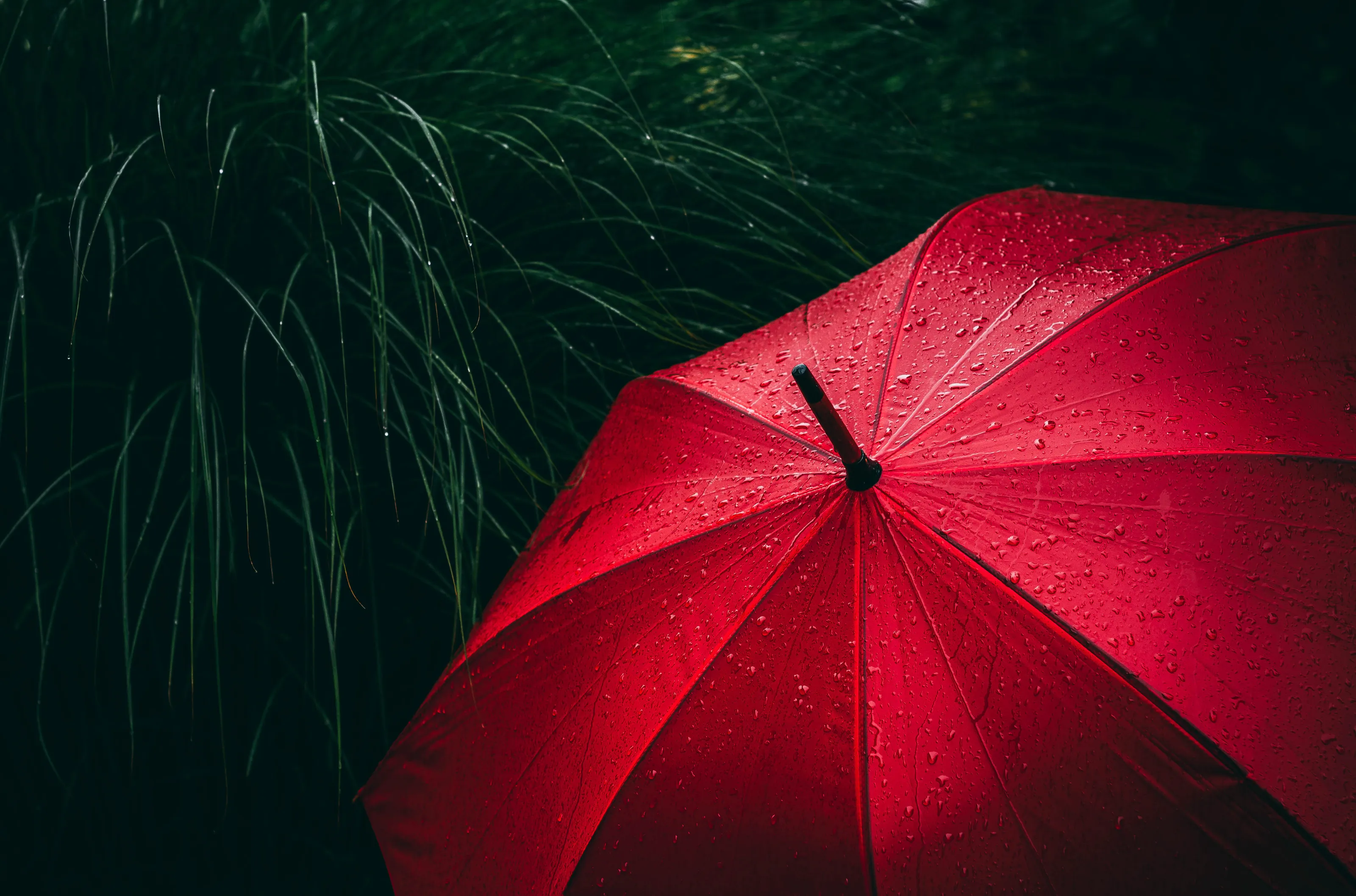 Red umbrella