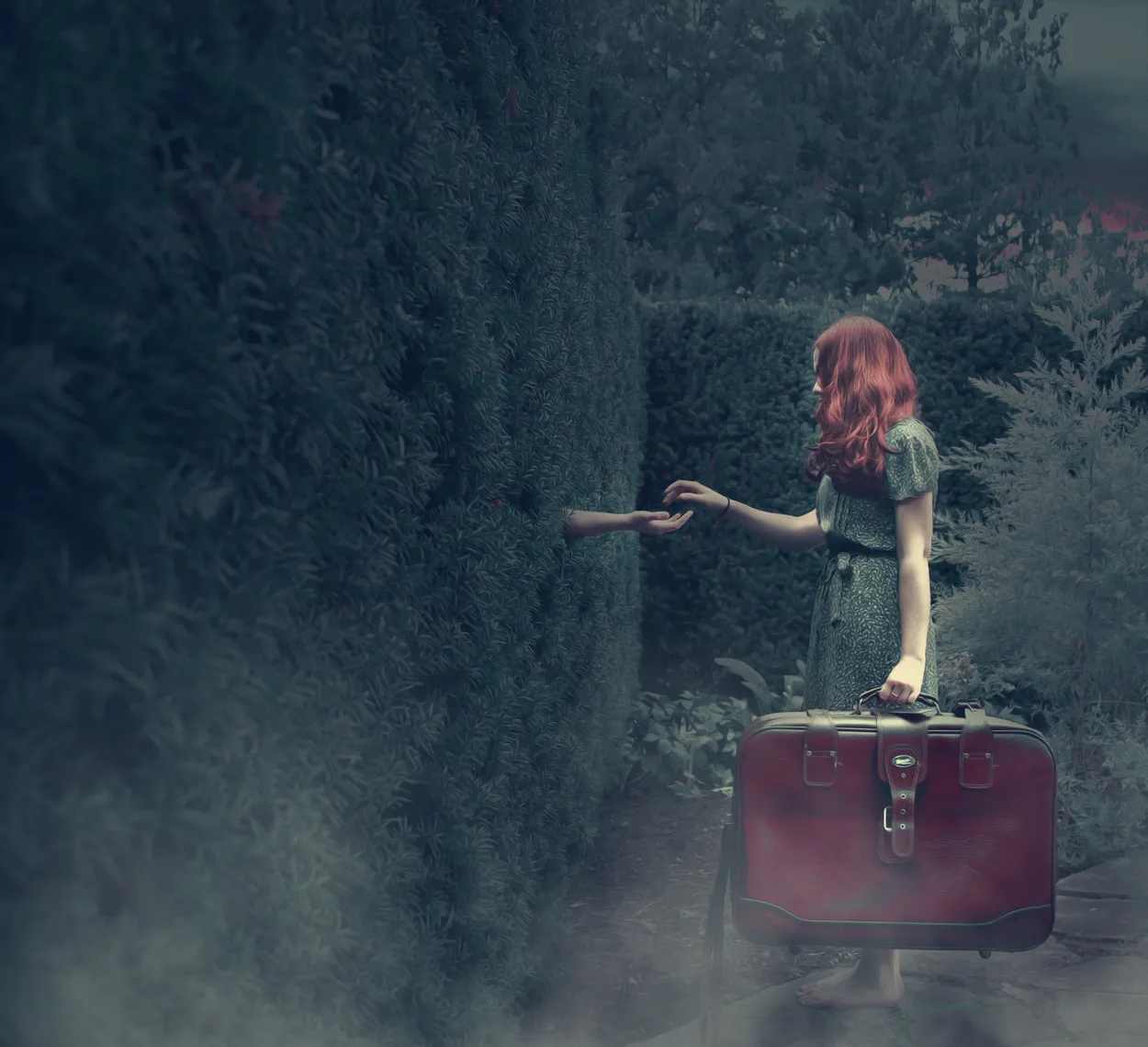 Entry 1879298