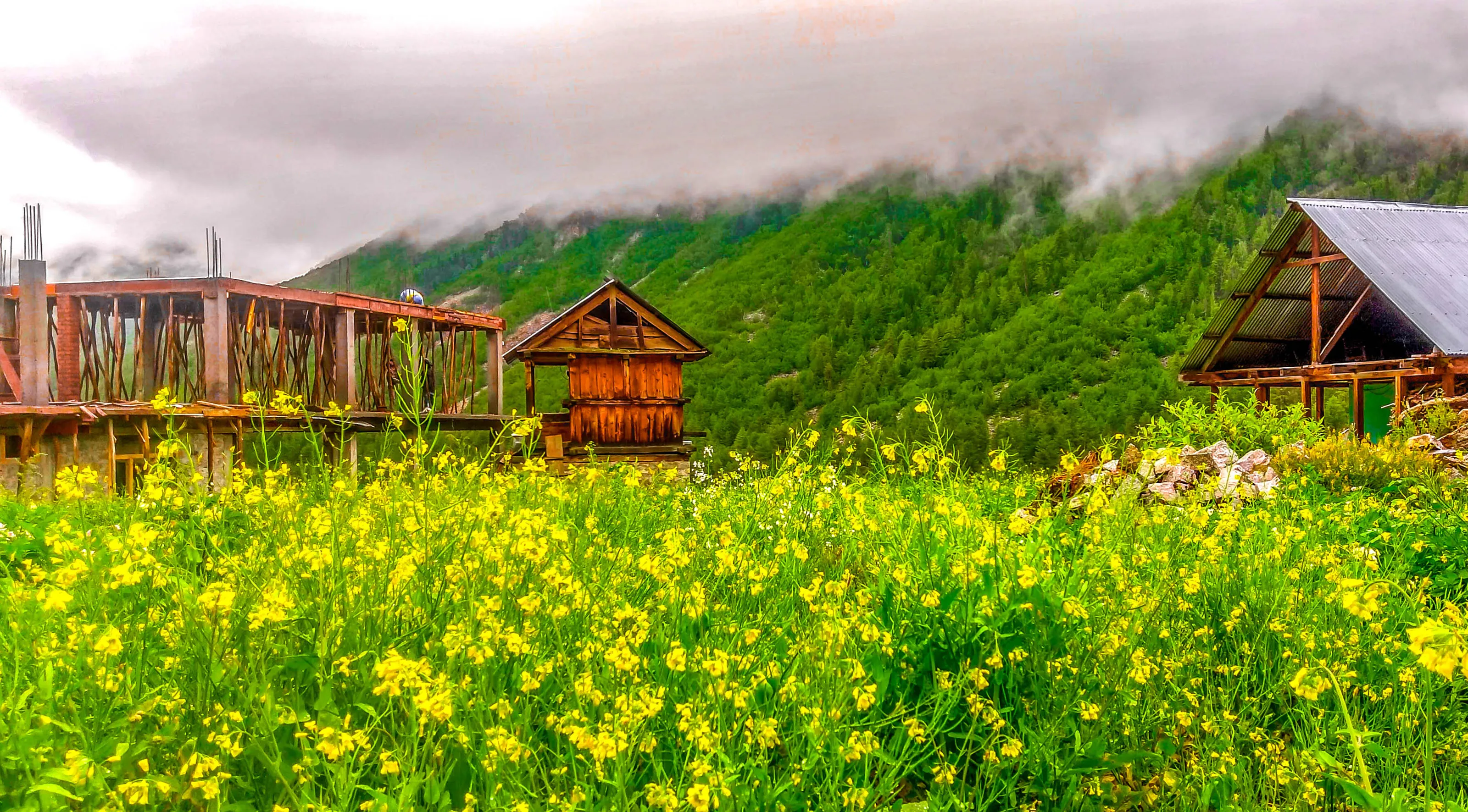 Chitkul "The Last Village of Himachal"