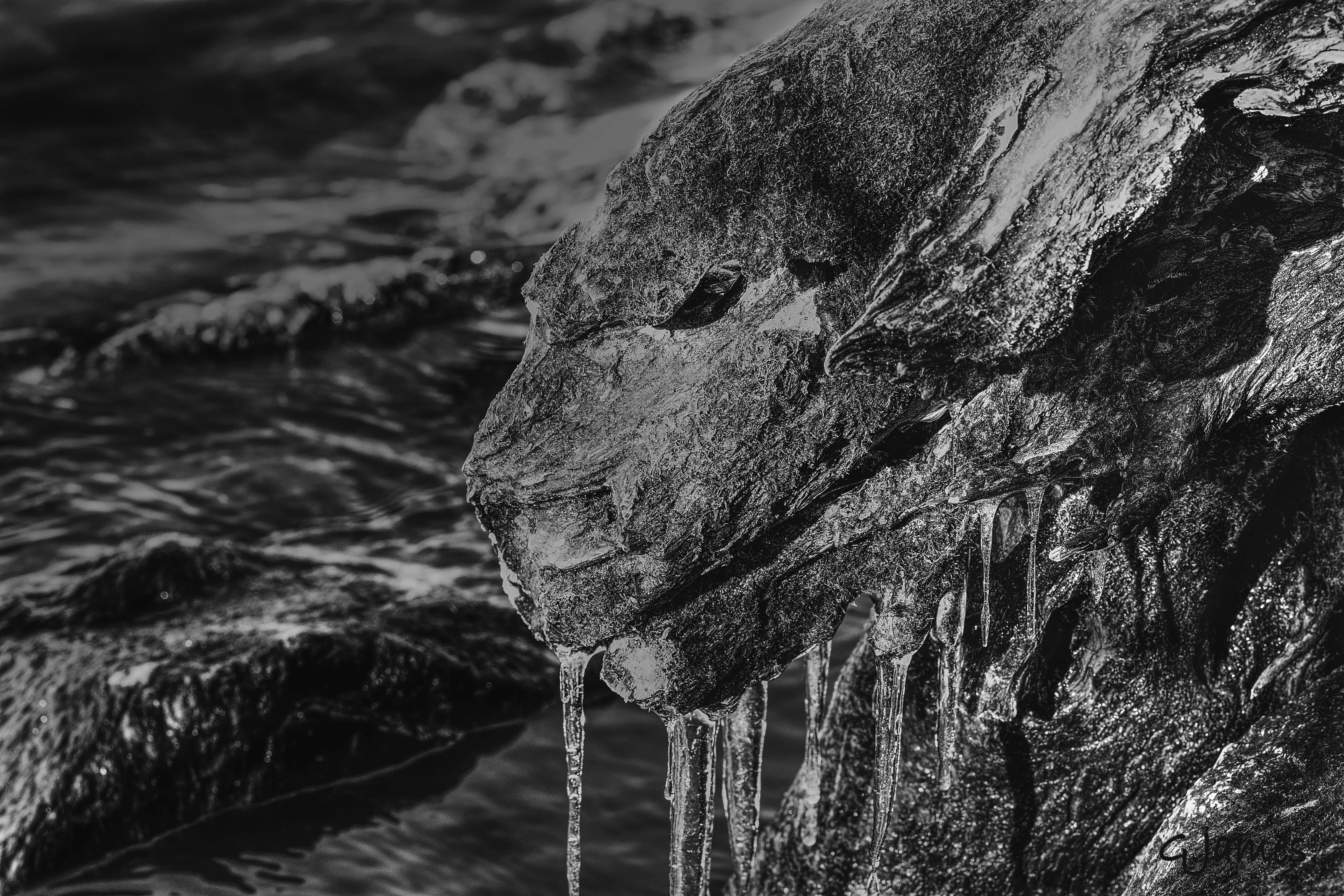 Lake Ontario creature Canada