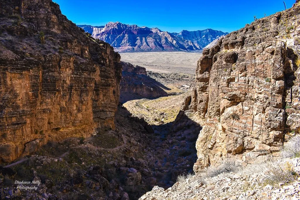 Canyon views