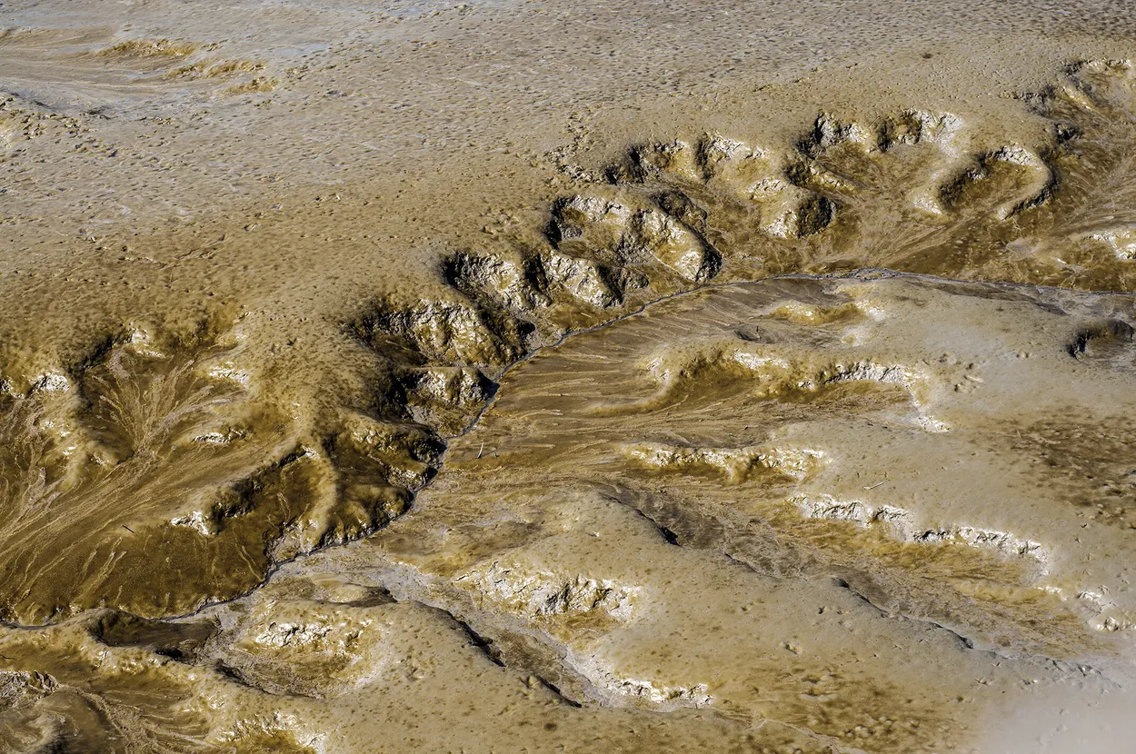 Entry 1882449
