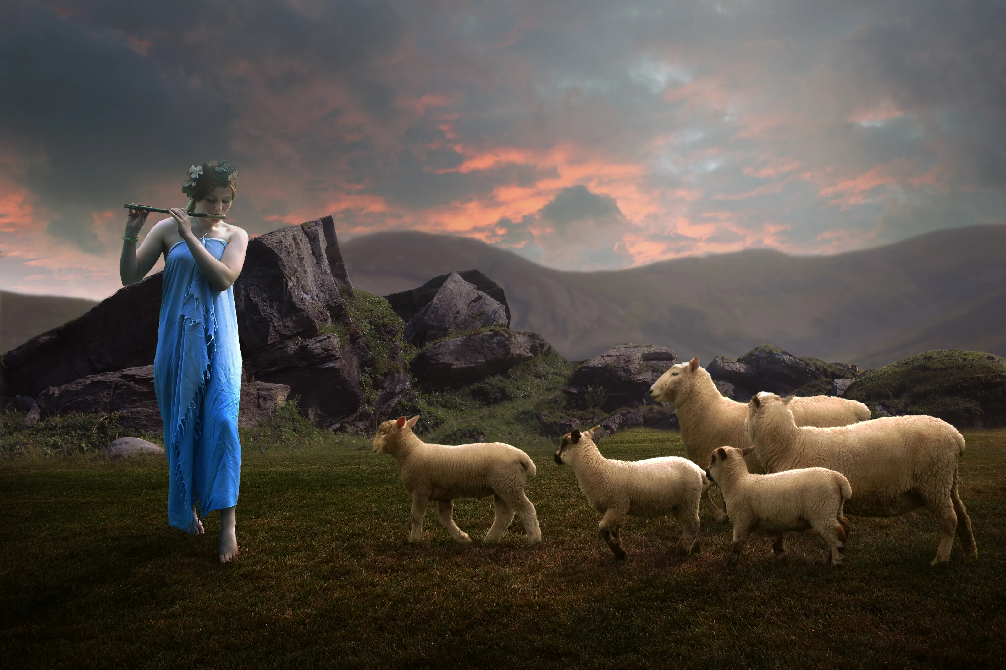 Shepherds Lullaby