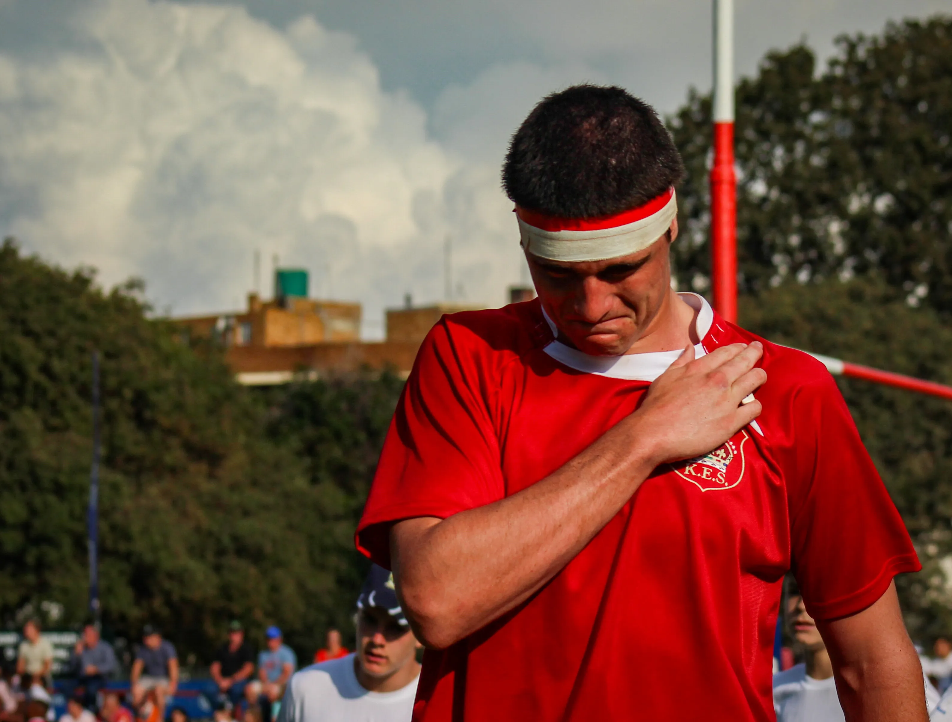 Banner image