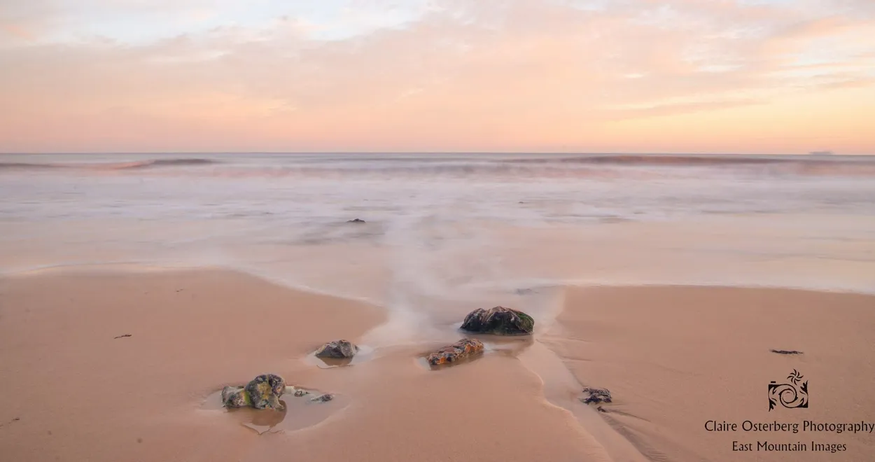 Entry 1886427