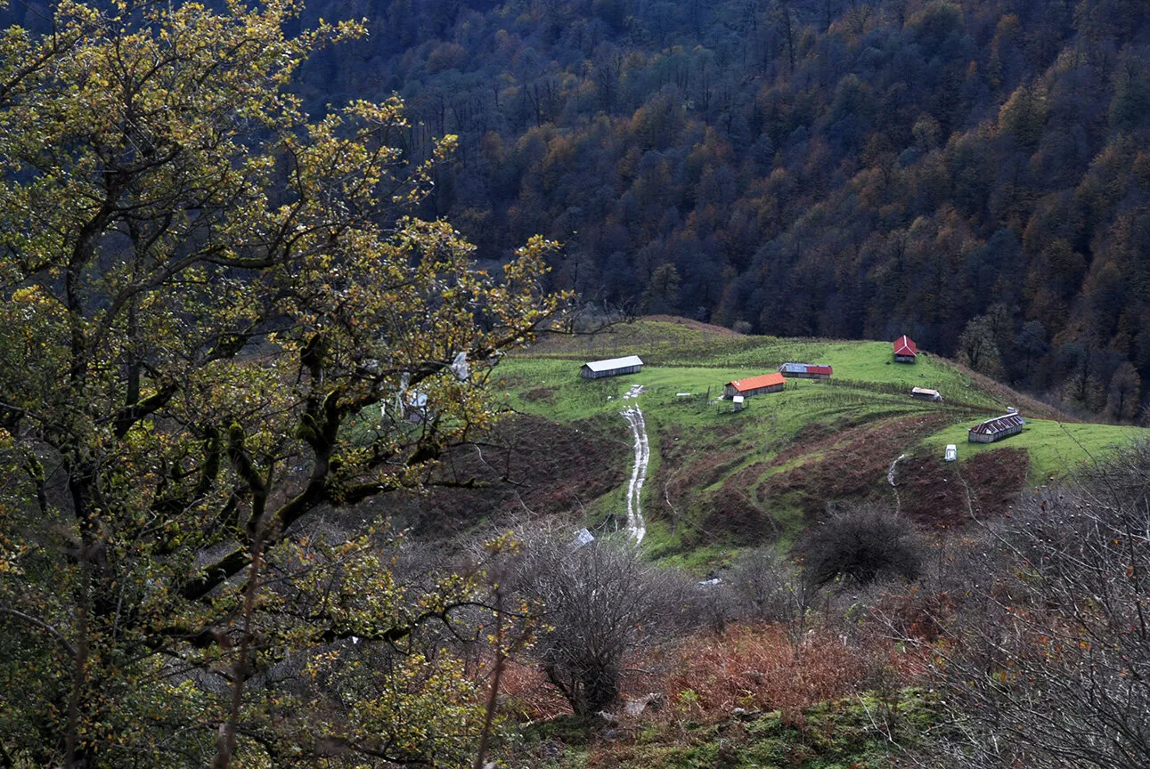 masal/iran