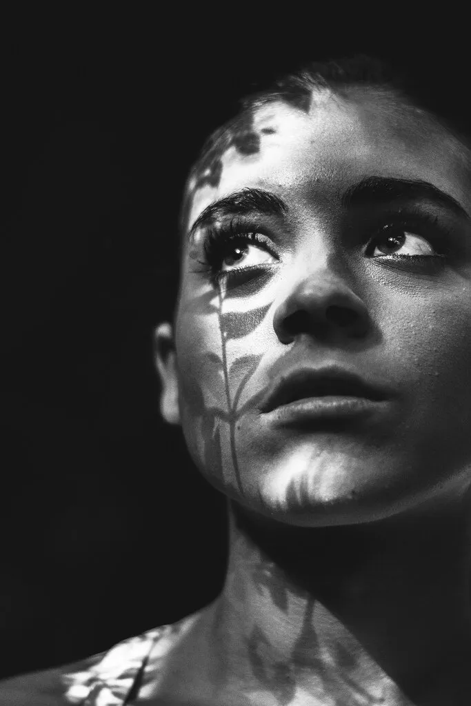 Banner image