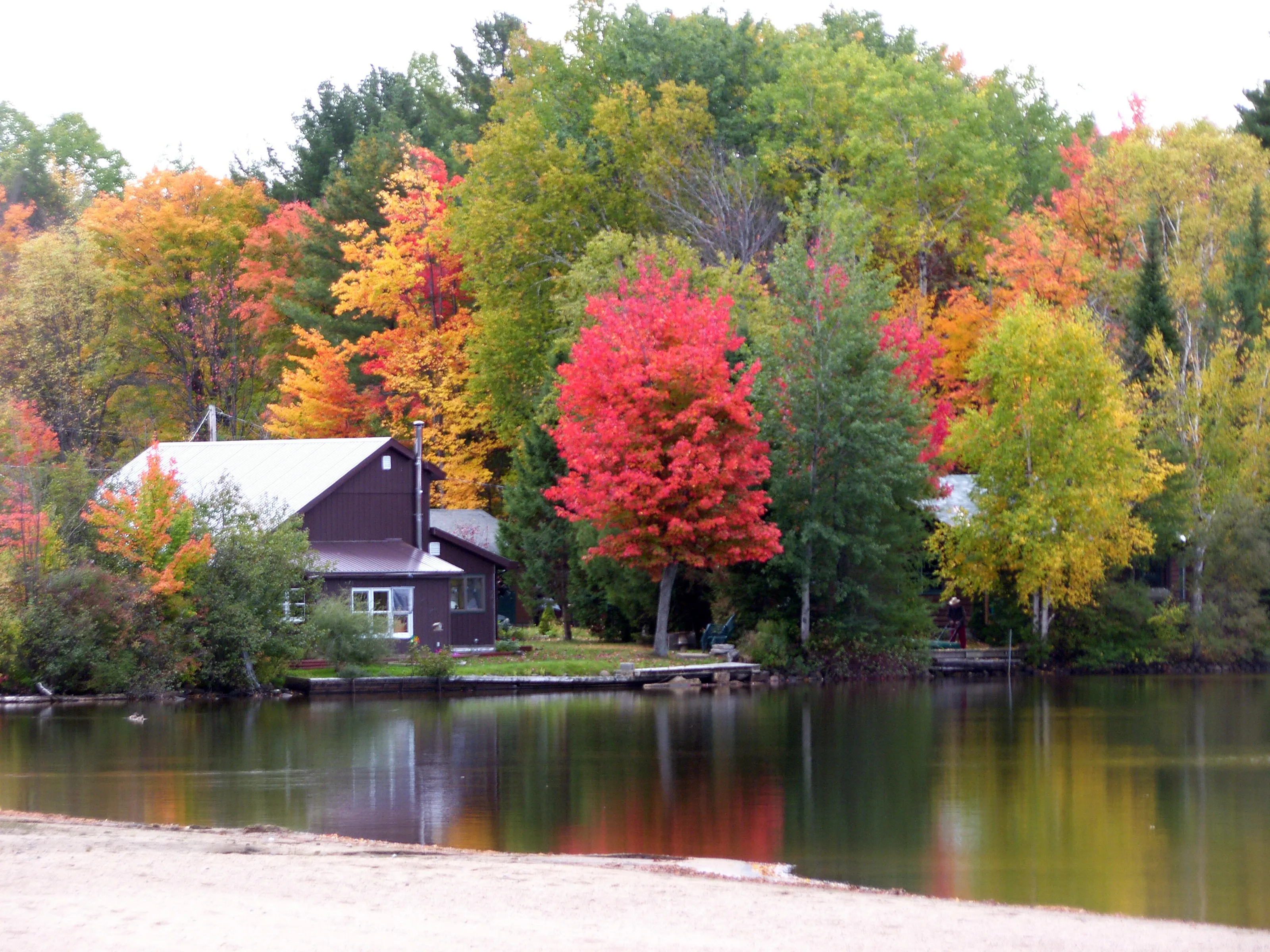 Fall in New York