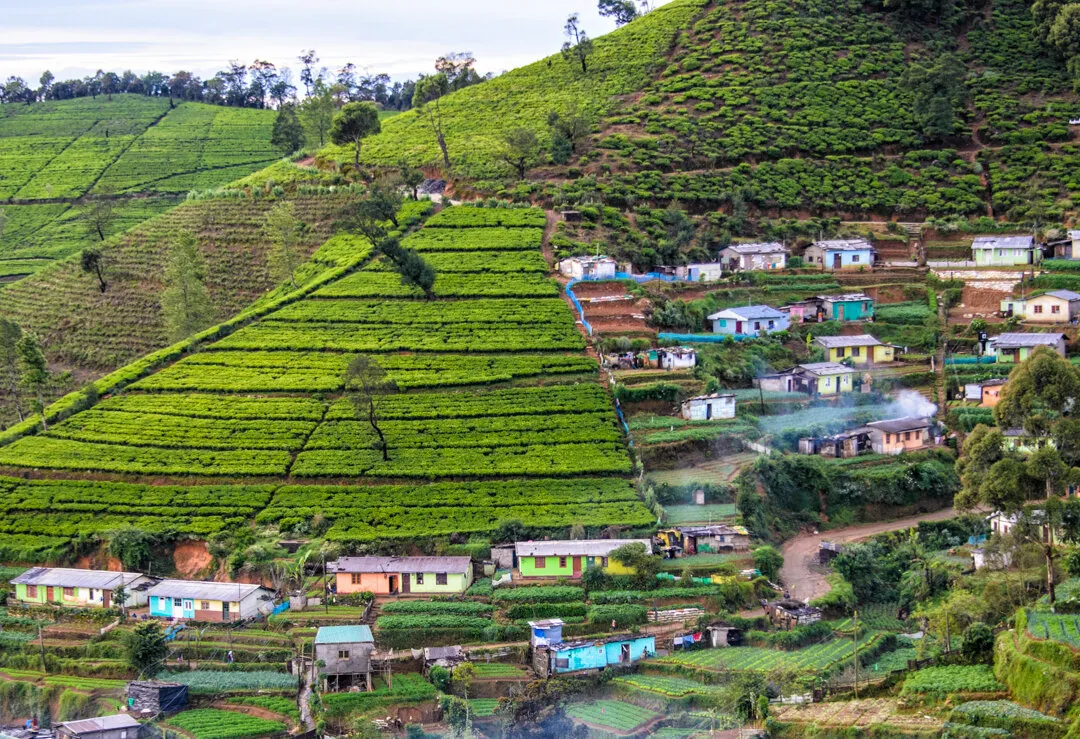 Sri Lanka Tea Country Village