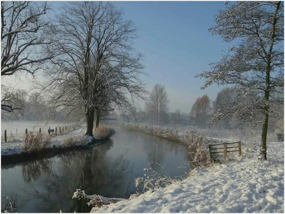 Snowy Reflections