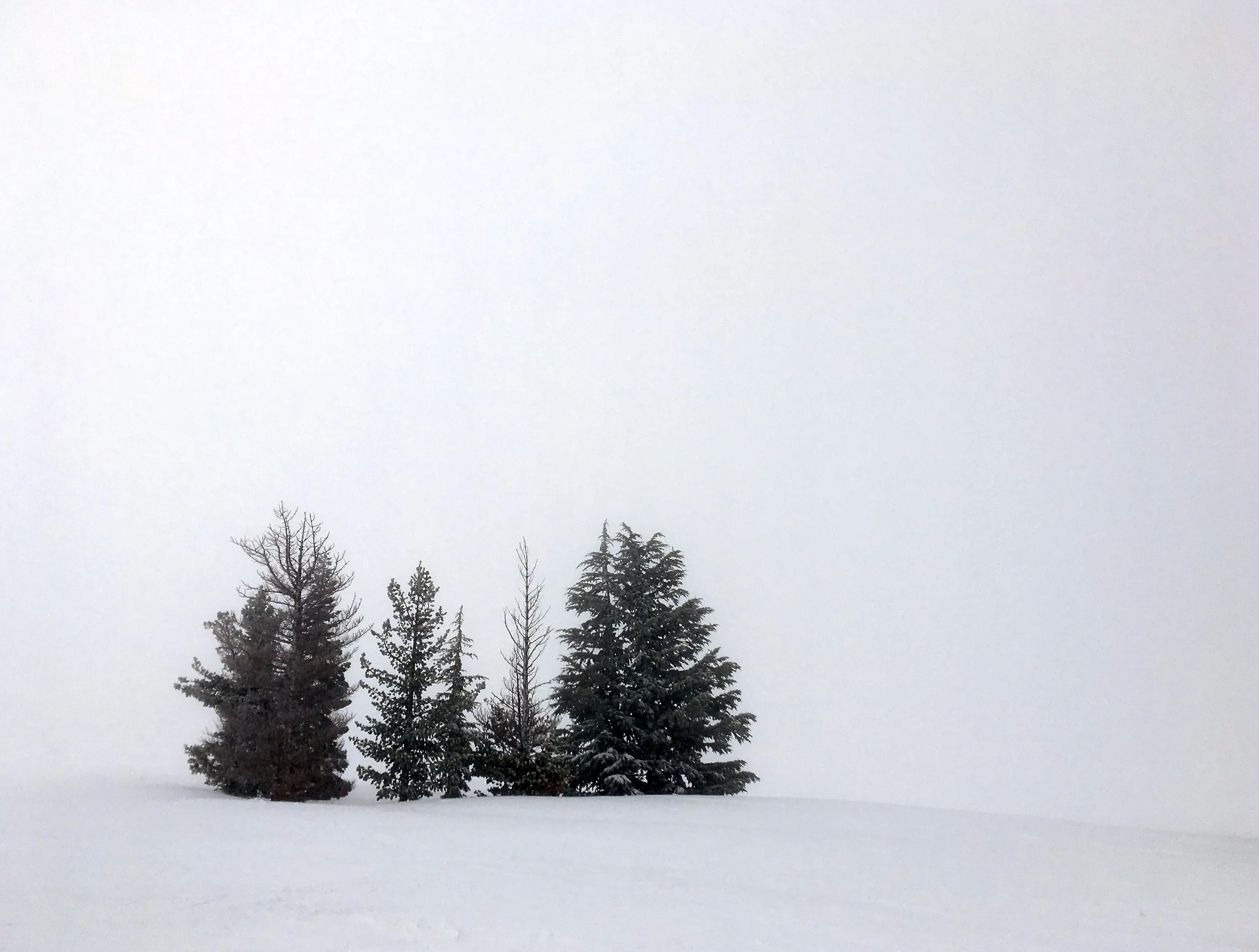 White Out