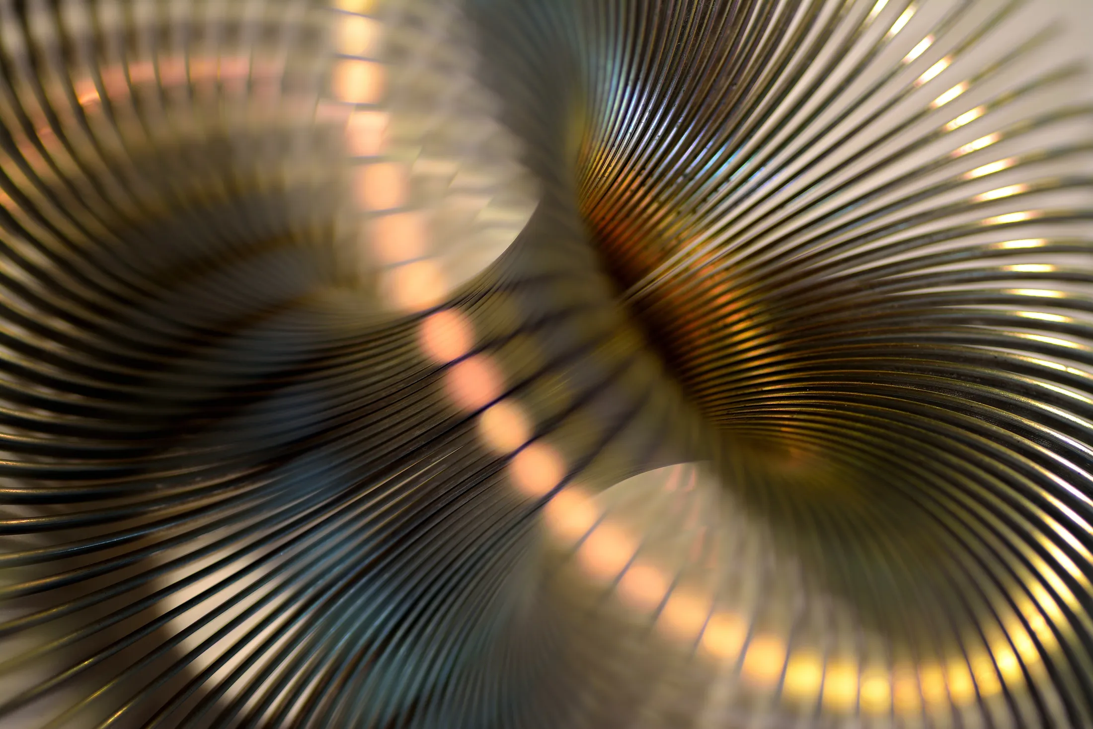 Springy thing torus