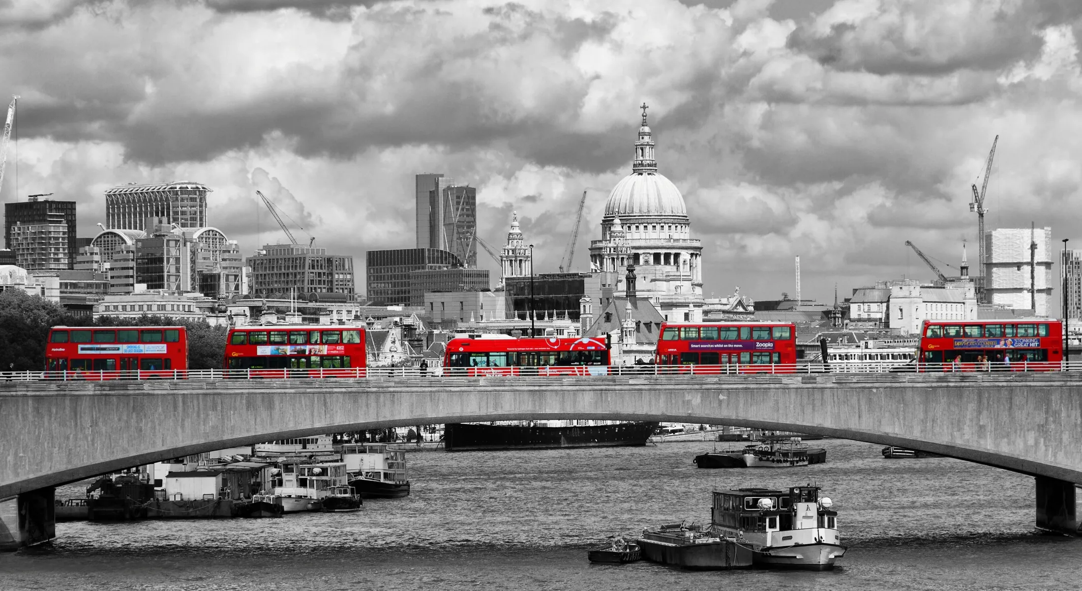 Entry 1904813