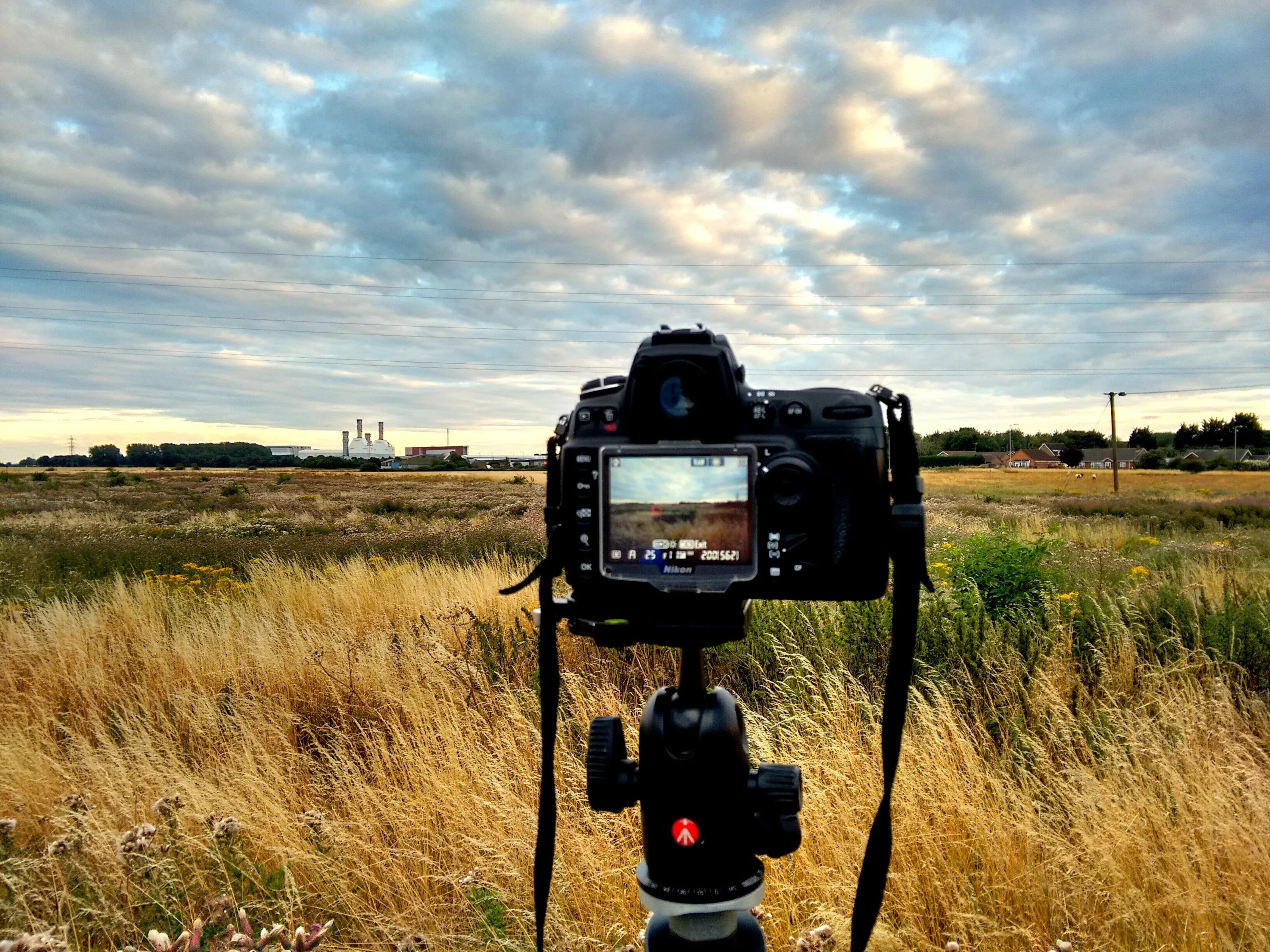 Field in Peterborough
