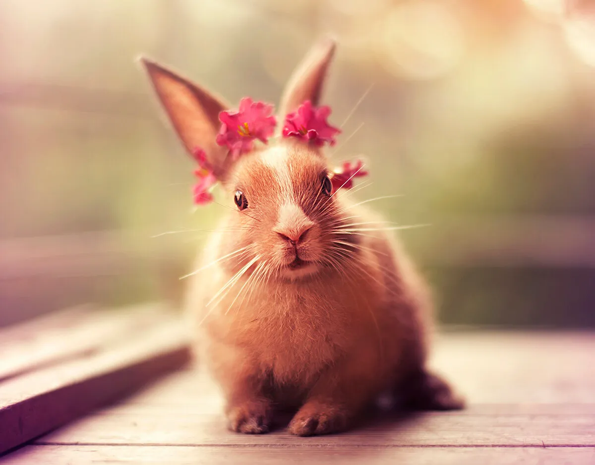 Flower girl