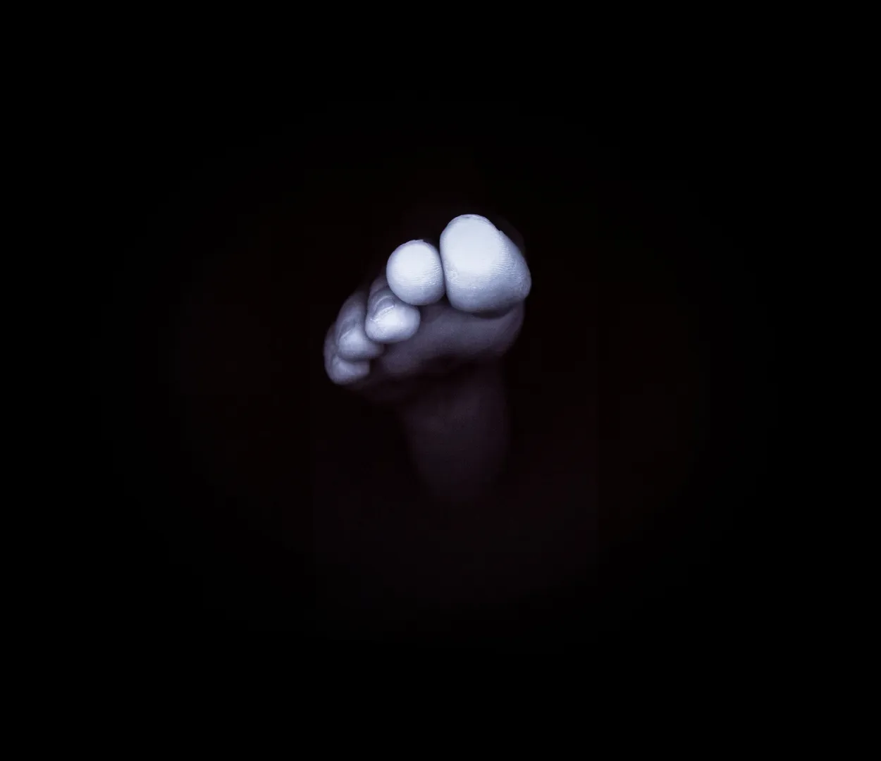 Entry 2979551