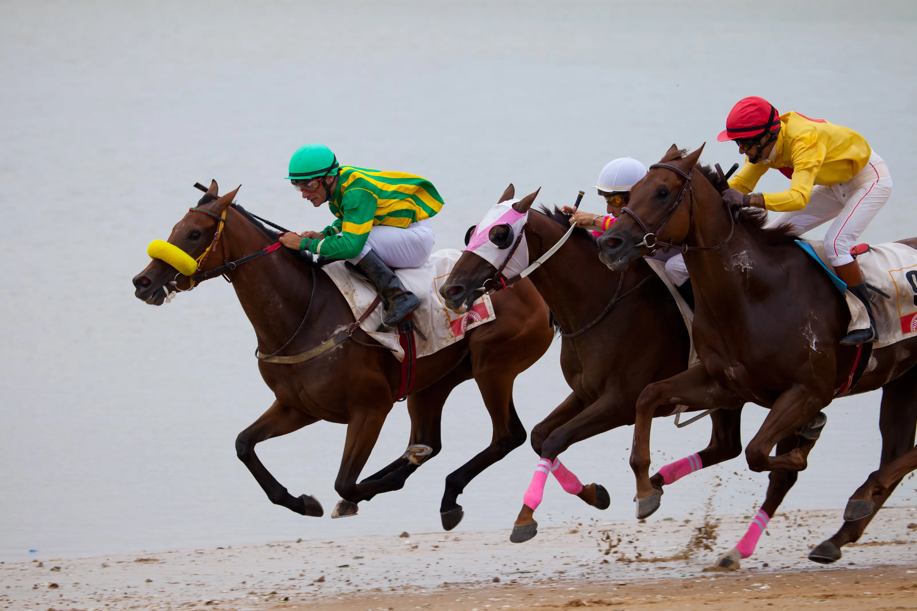 Horse Race on  Sanlucar de Barrameda