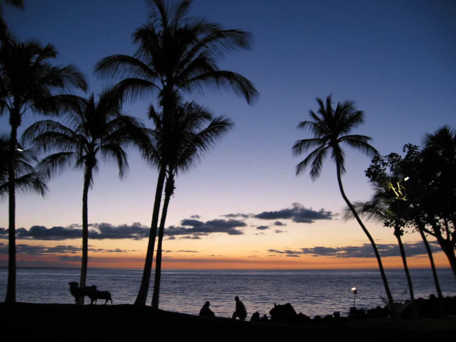 Hawaiian Sunset