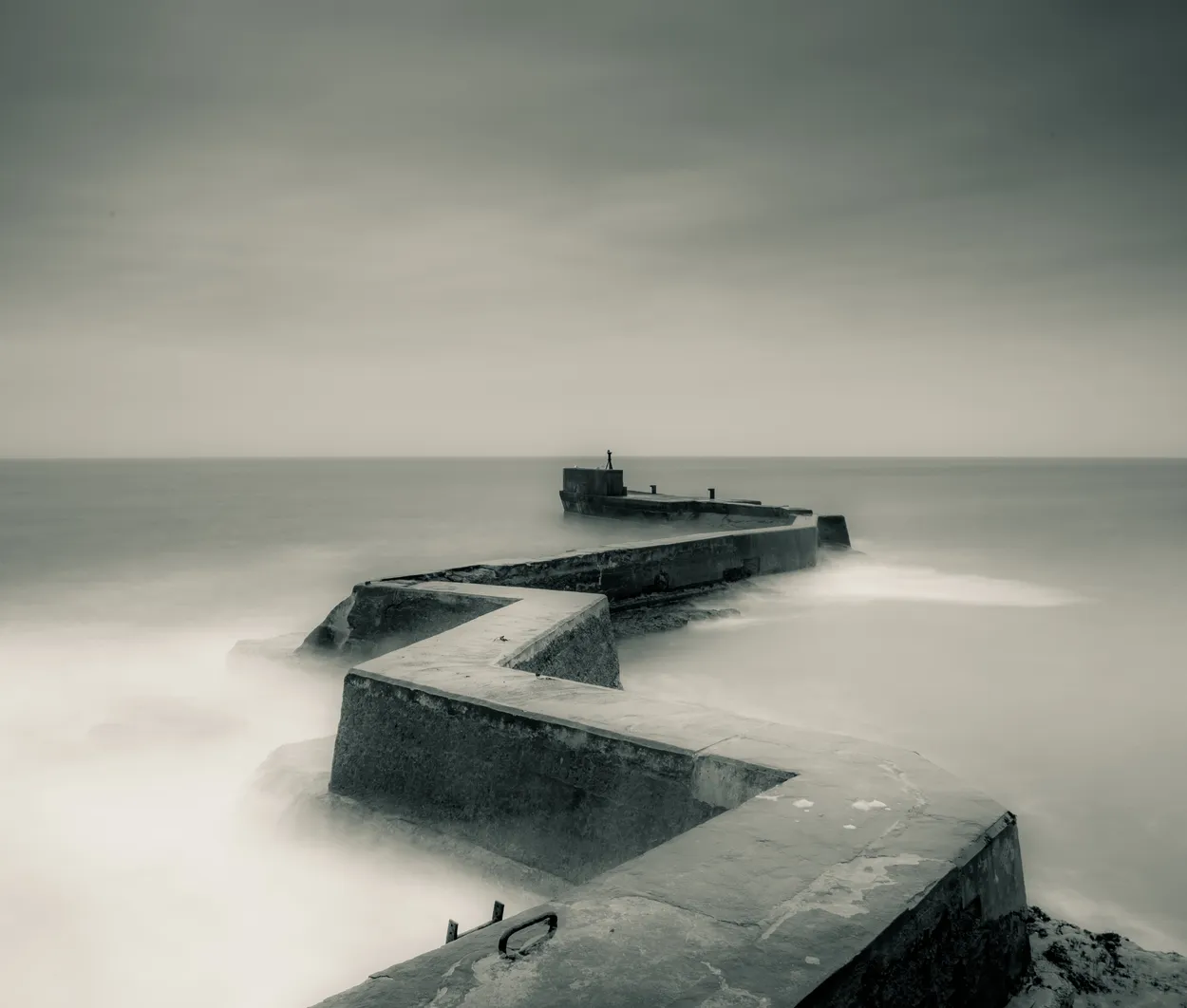 Entry 2011676