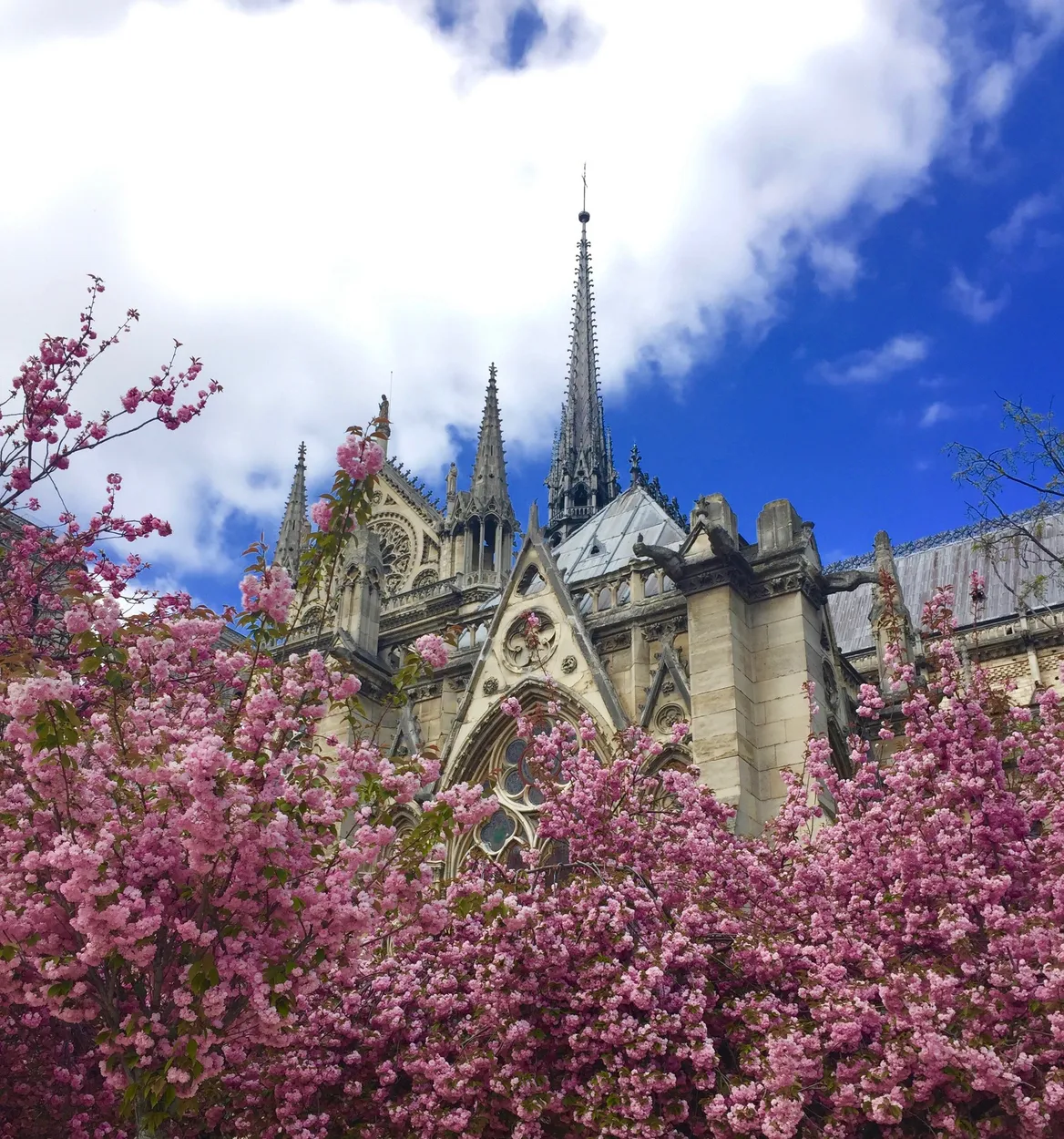 Entry 1959587
