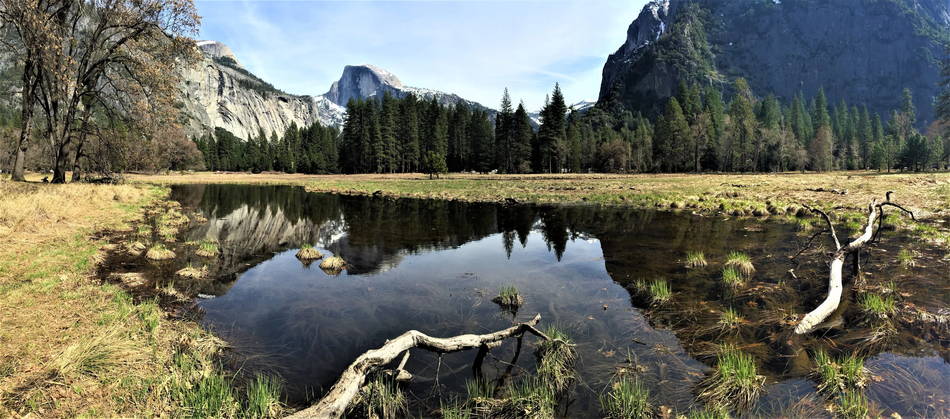Yosemite Meadow Spring 2017