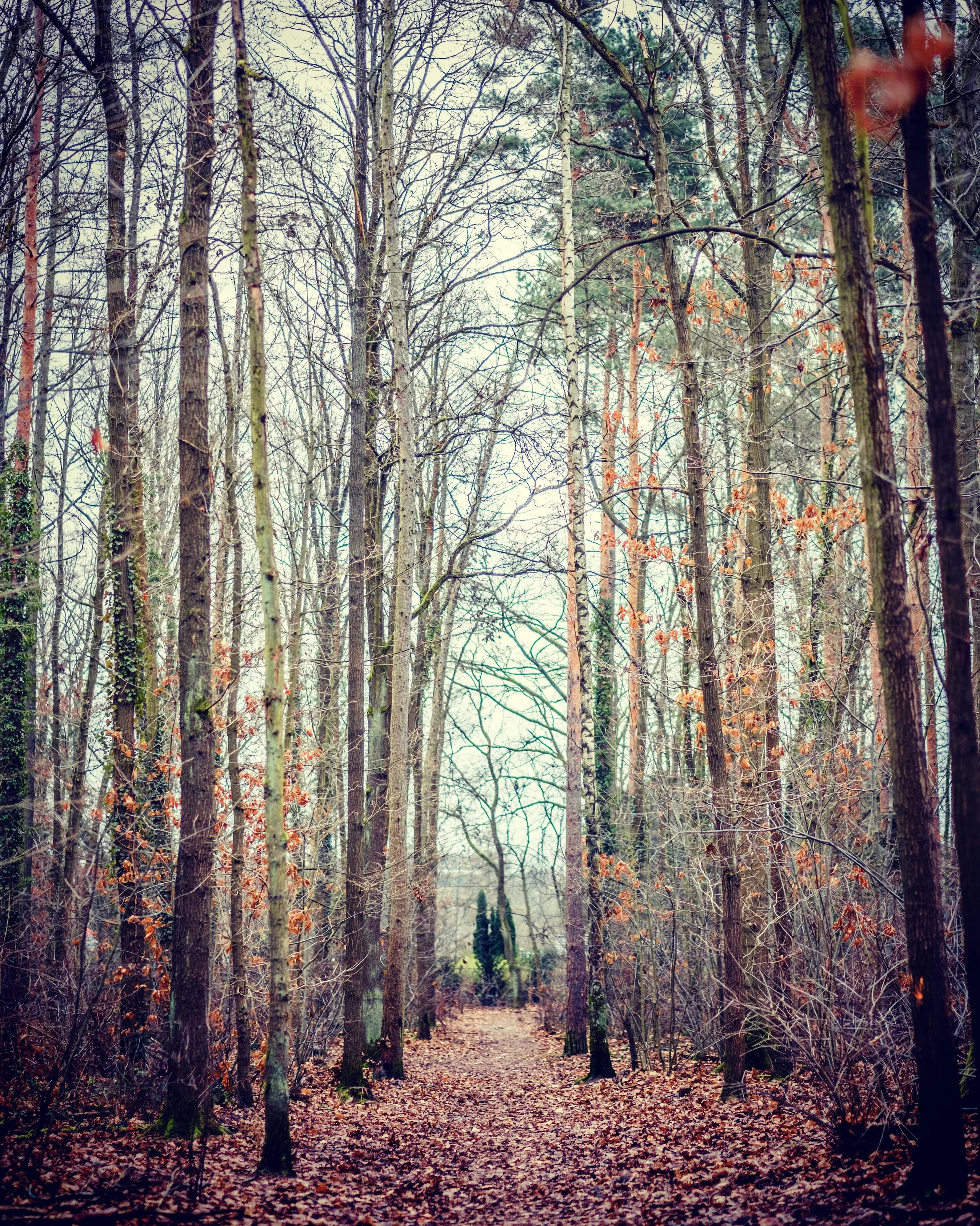 The Wald order