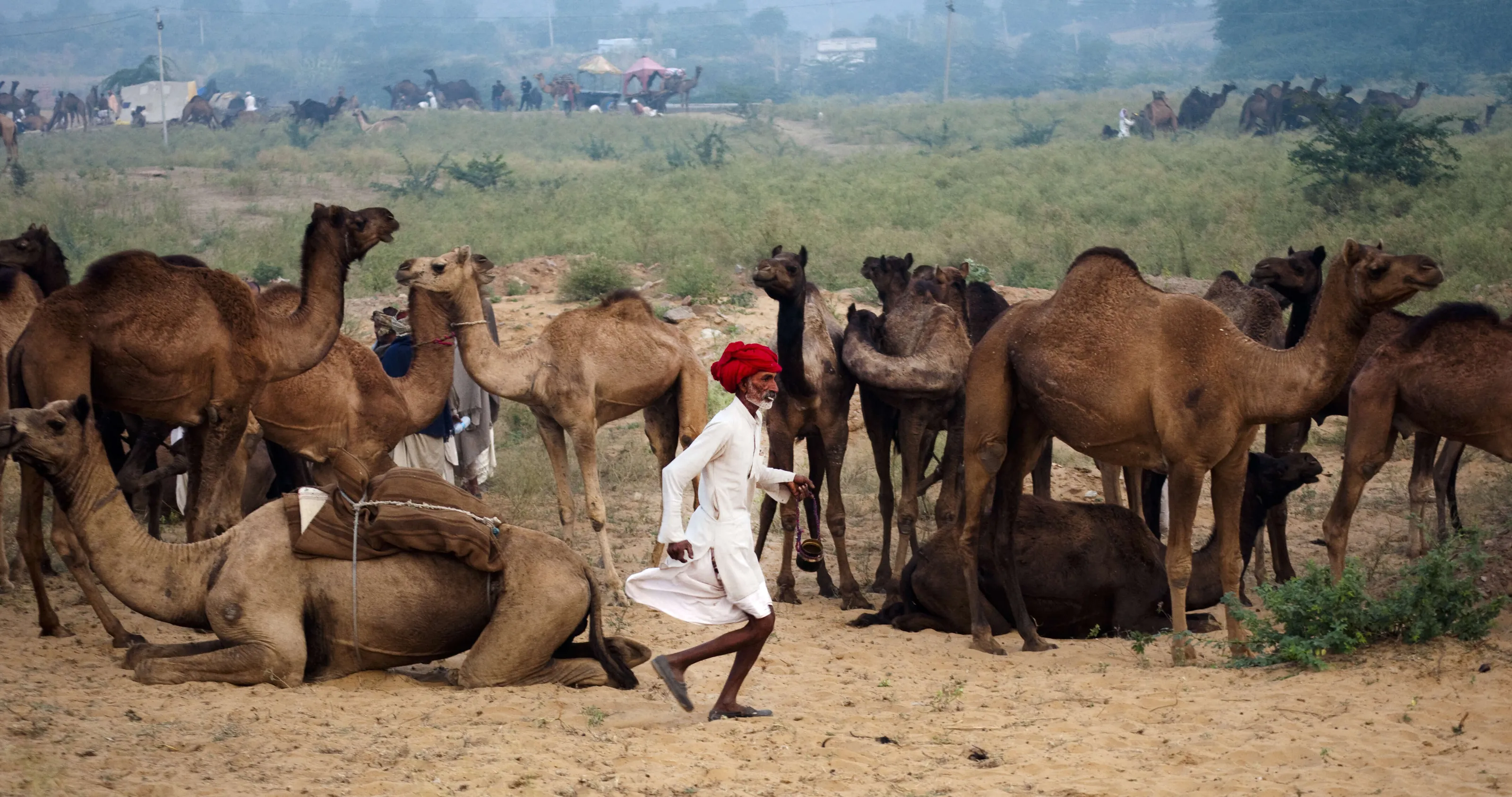 Pushkar fair ground