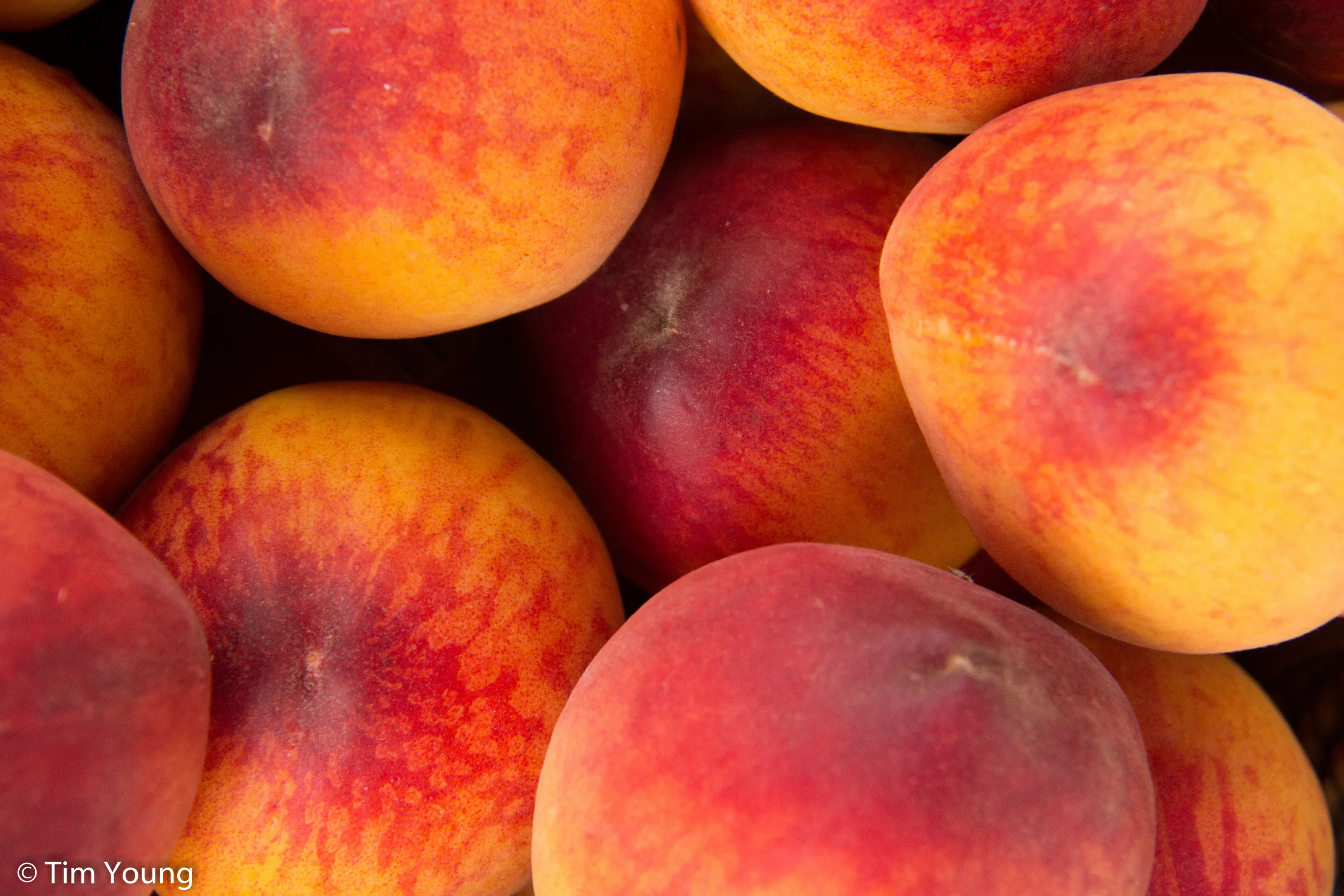 Peaches