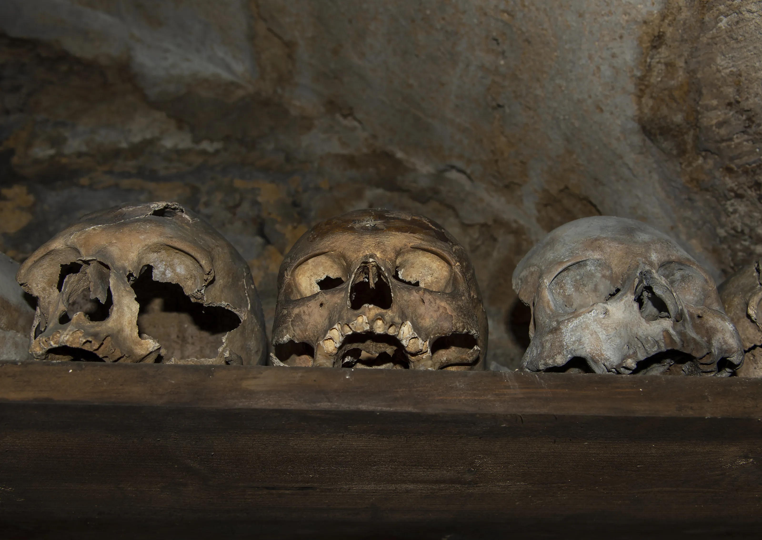 Skulls 2