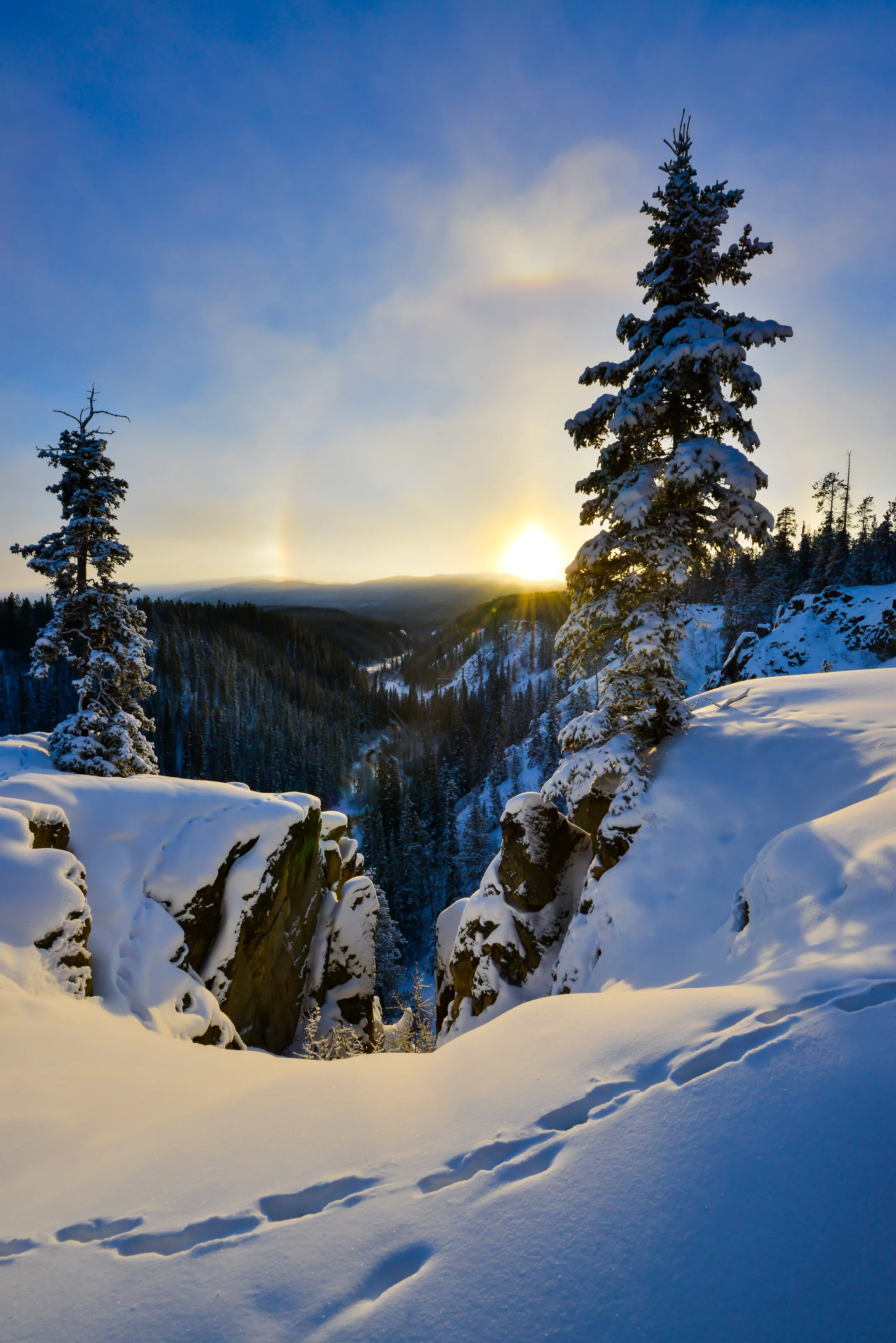 Winter sunset, McIntyre Creek, Yukon, Canada