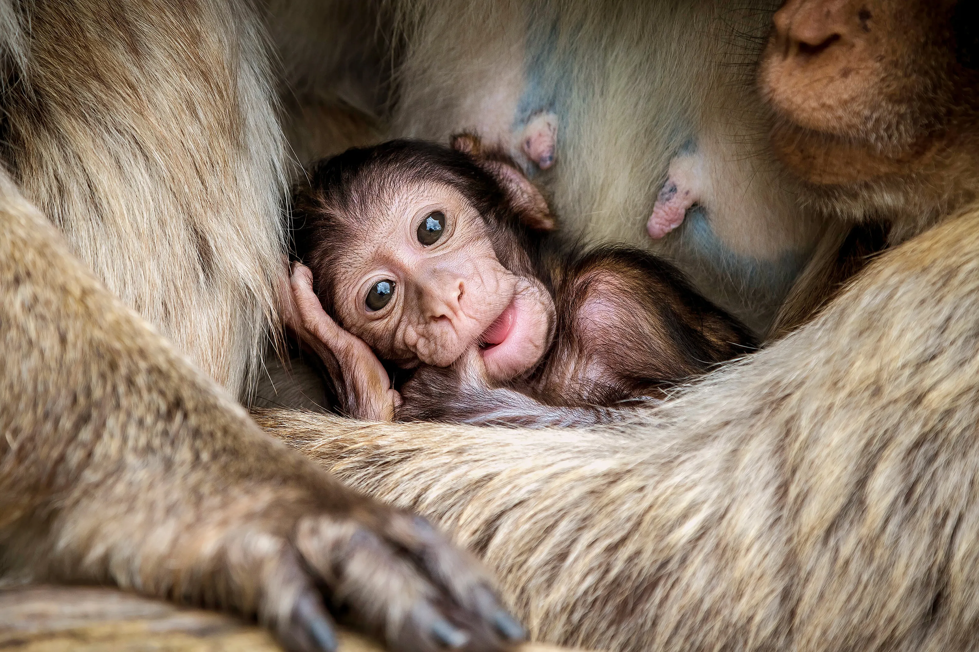 Snuggle Time
