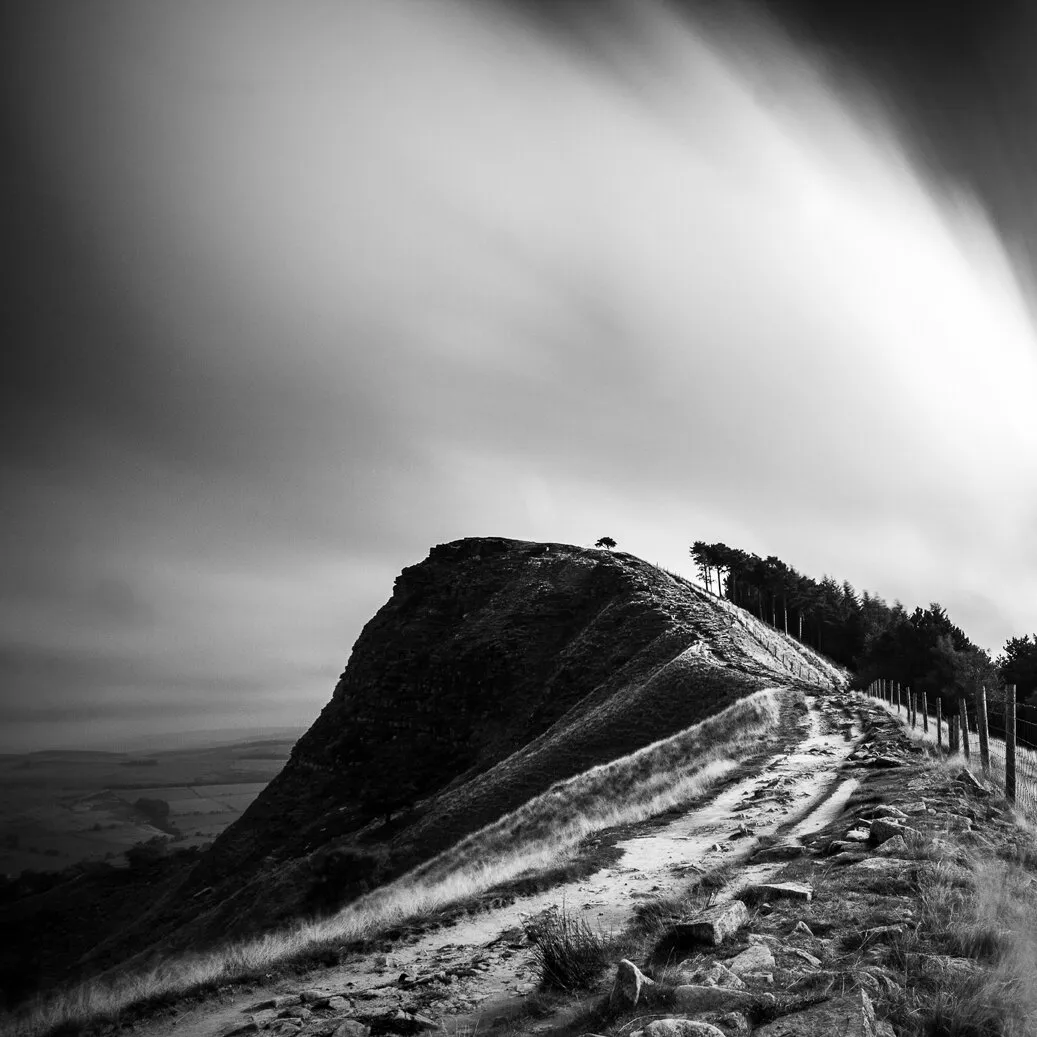 Lone Tree