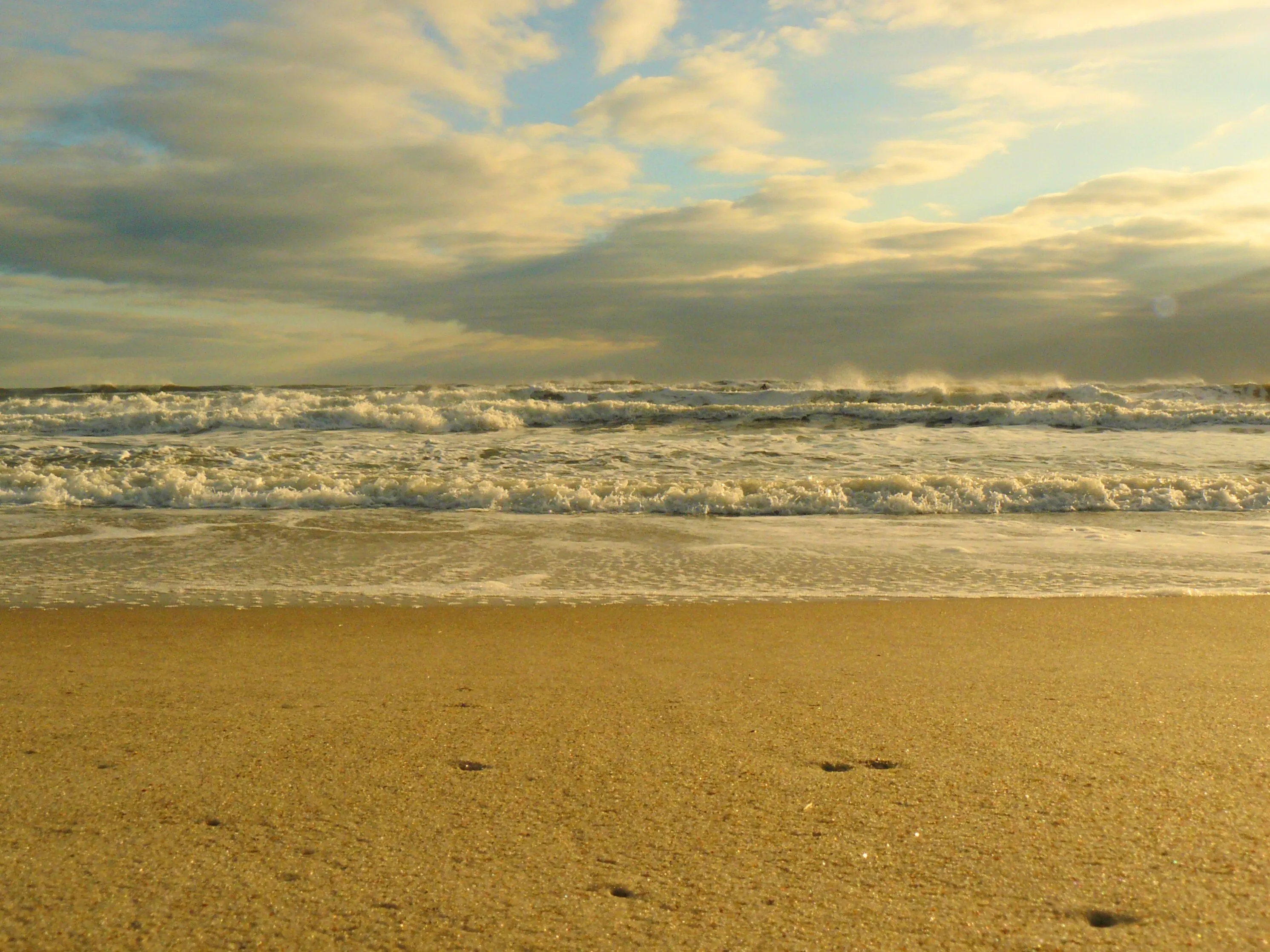 Tide