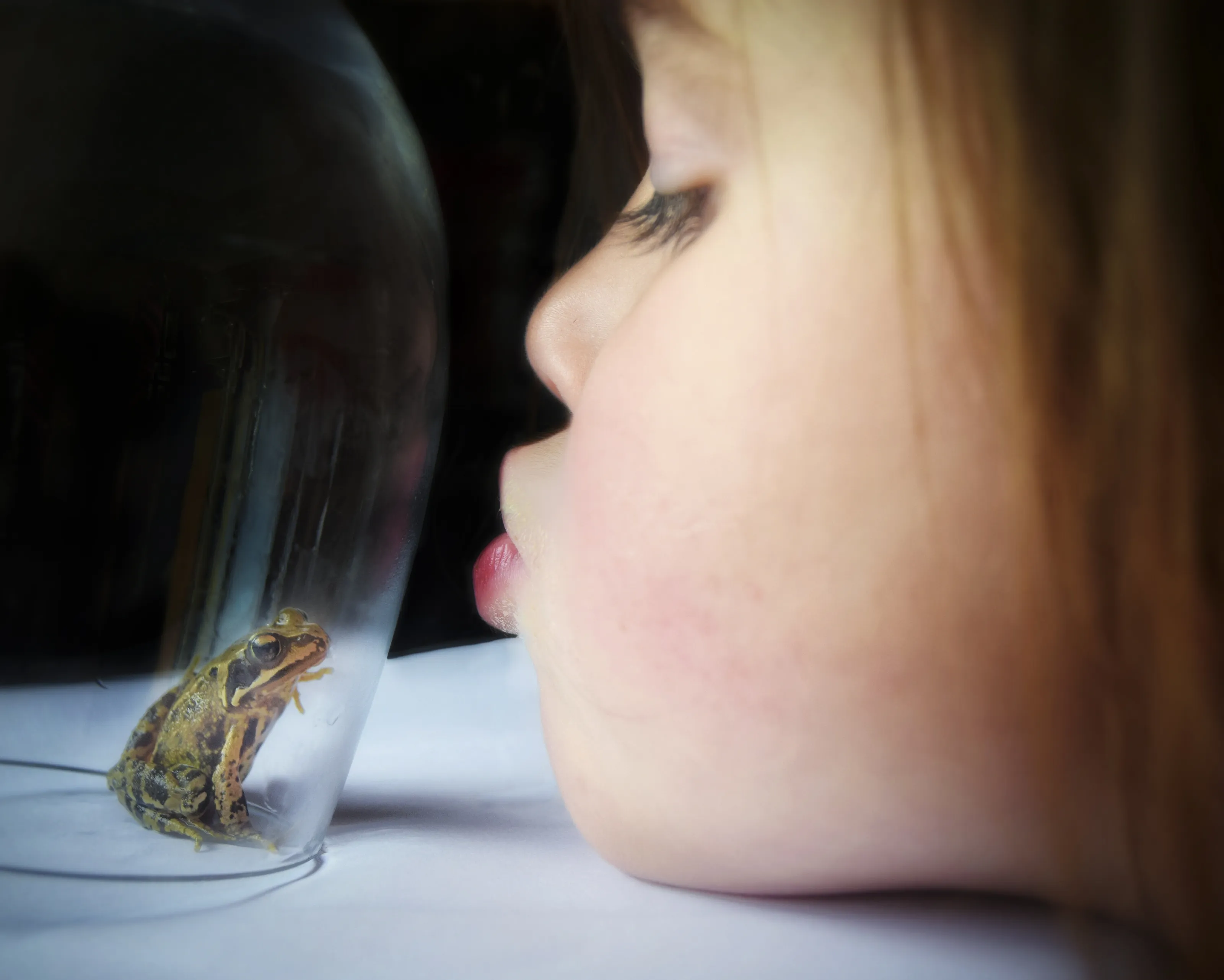 The Princess and the Frog