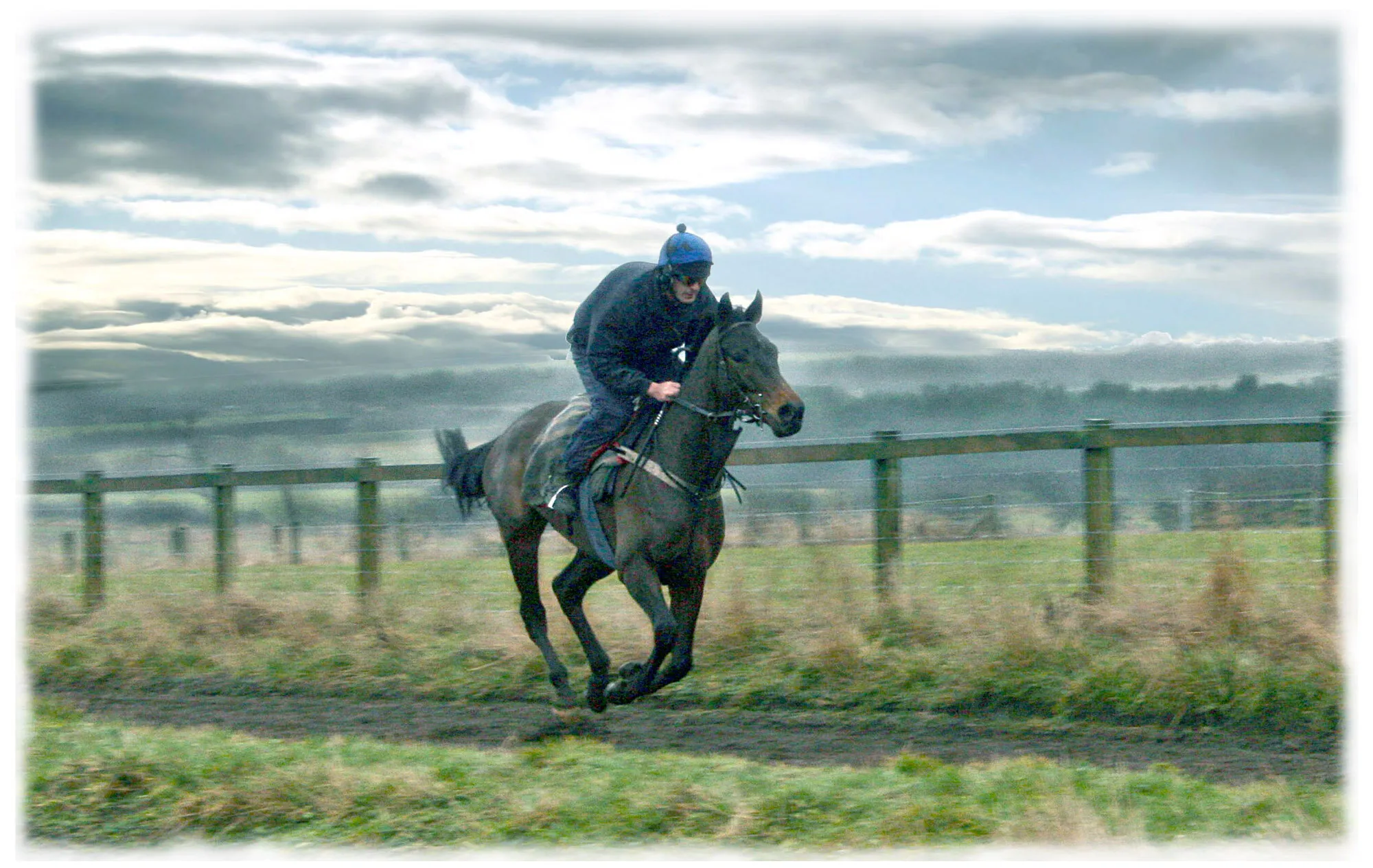 On the gallops