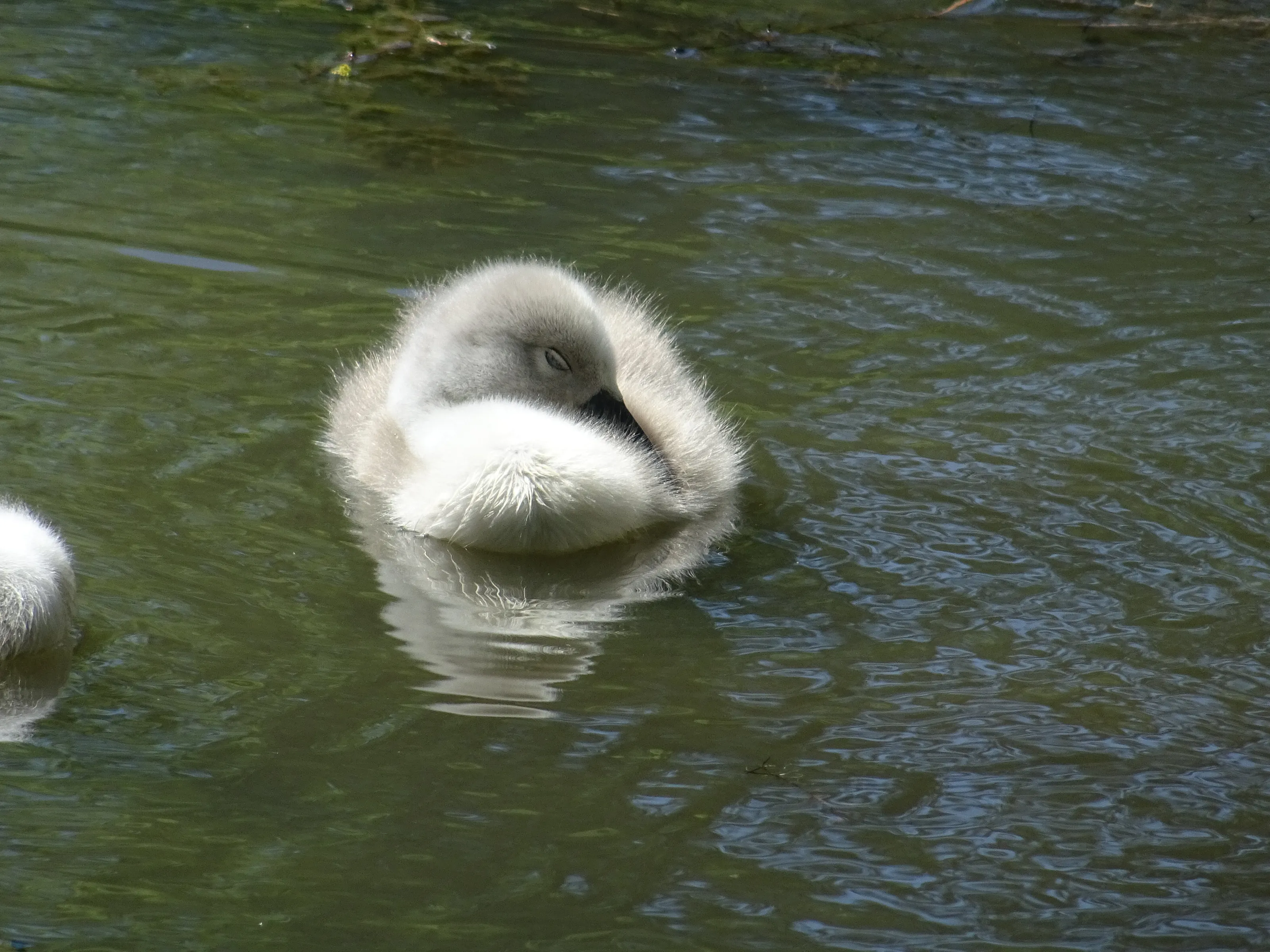 tired out
