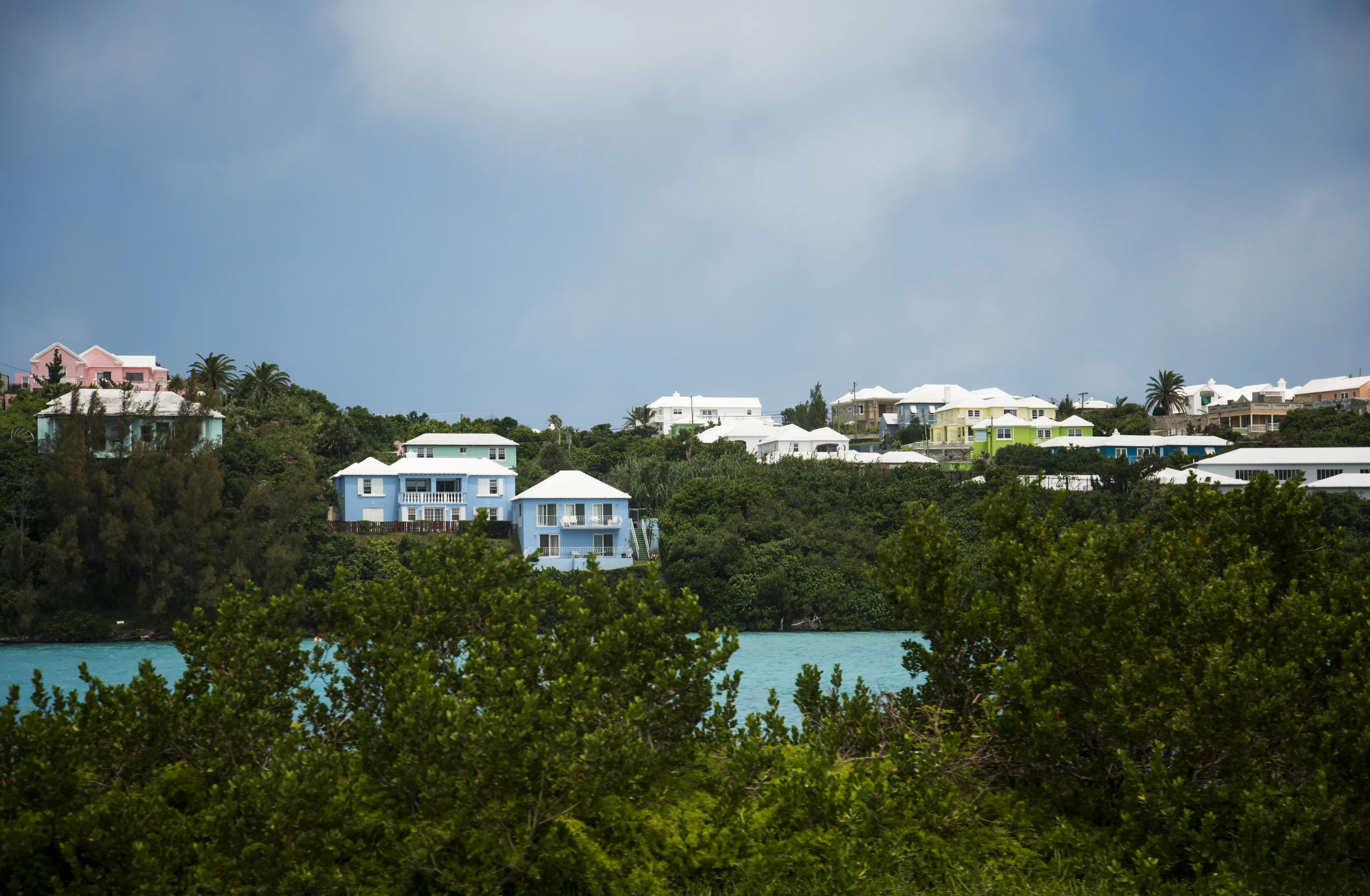 A Colourful View