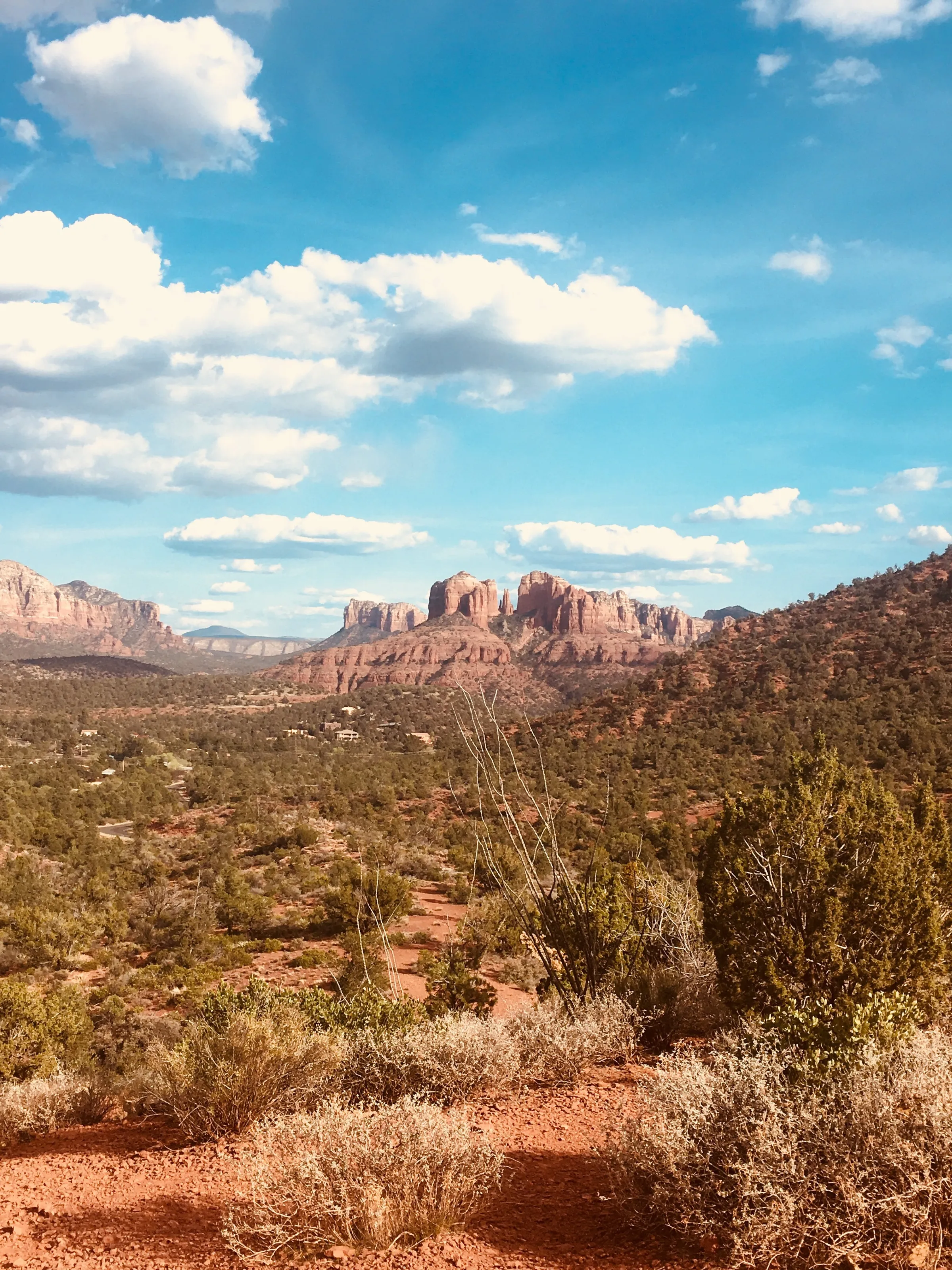 The Distant Canyons