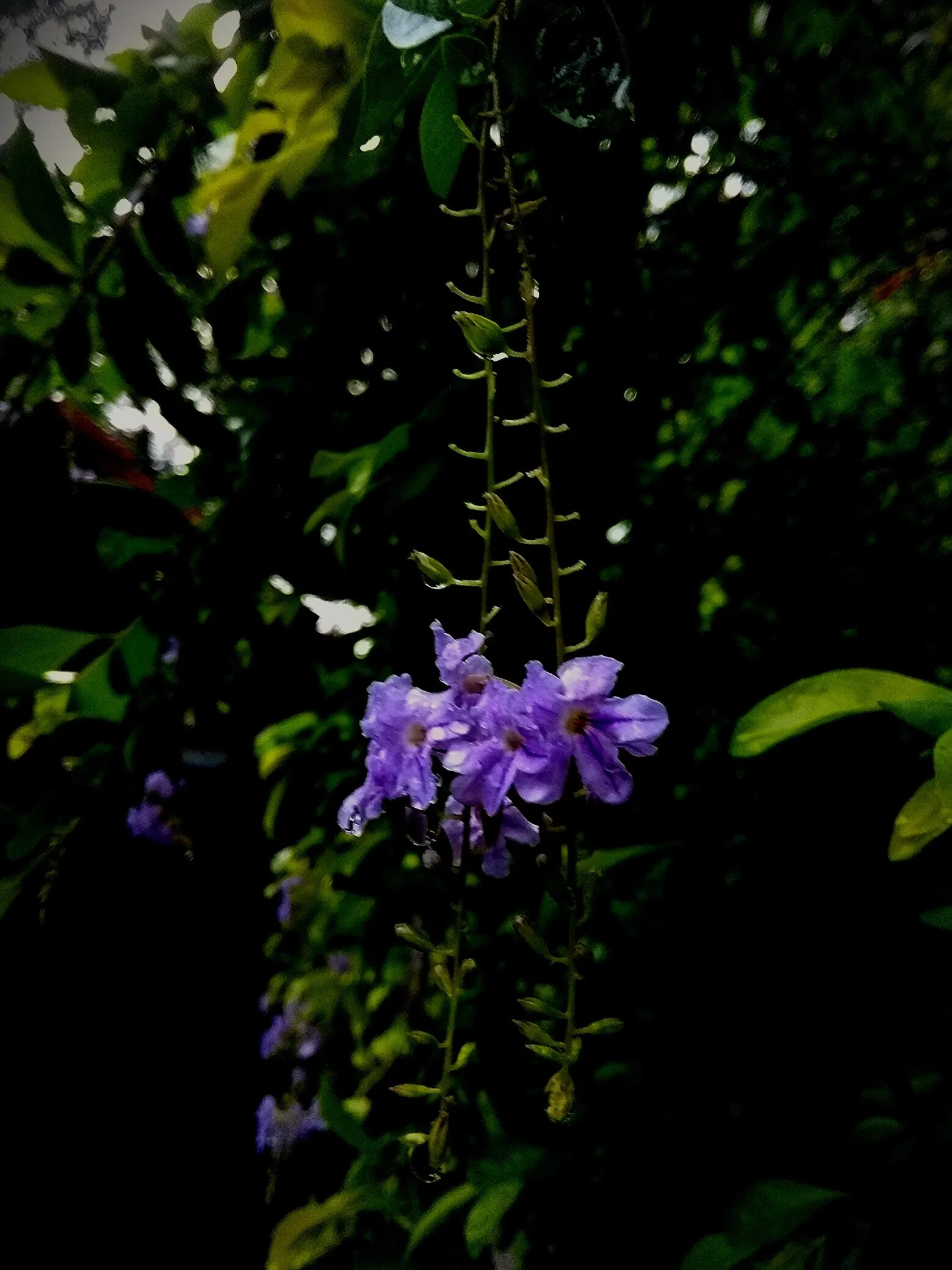 Beauty is not in only in the known but also can be seen in the unknown