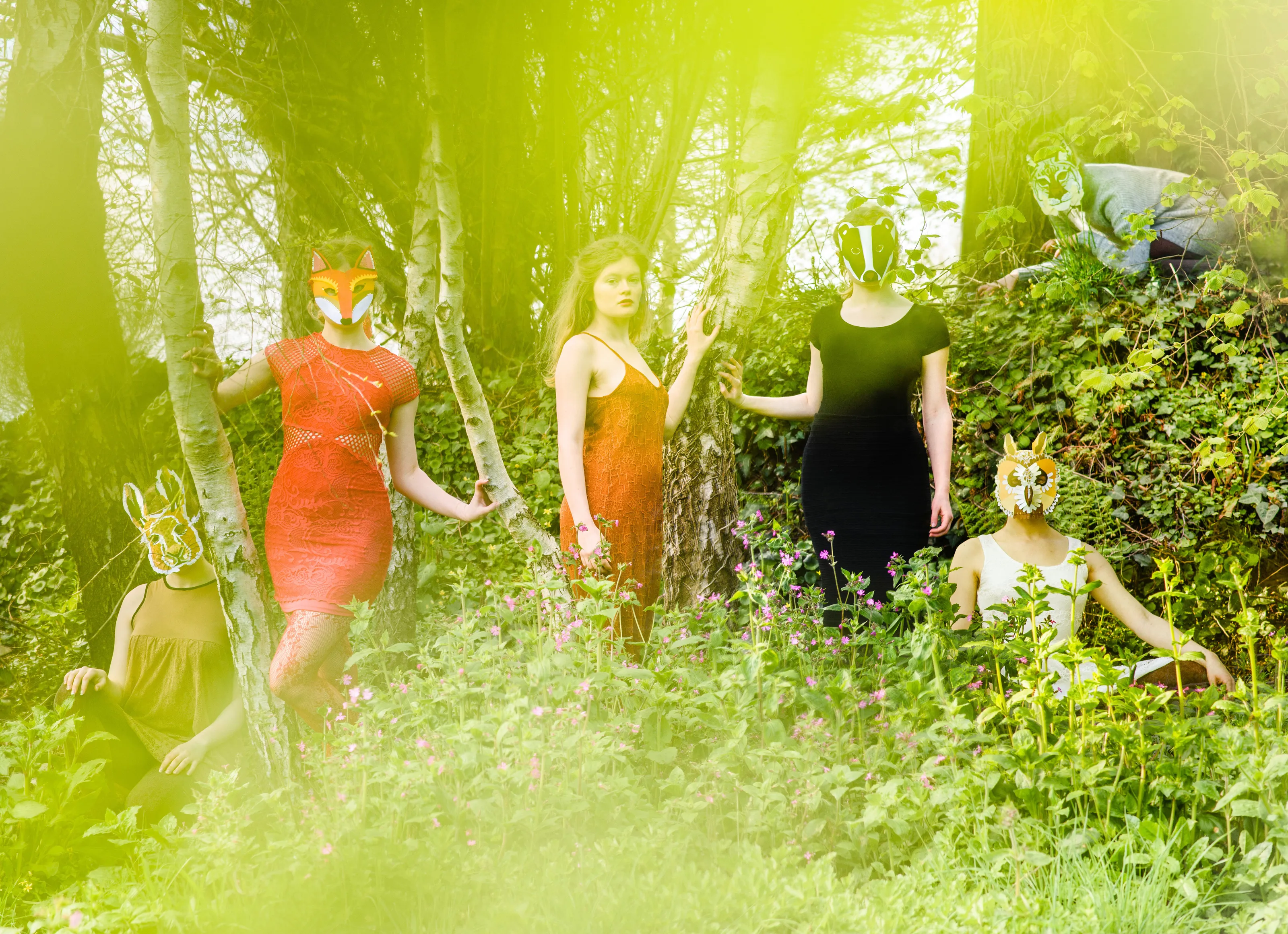 The Animals