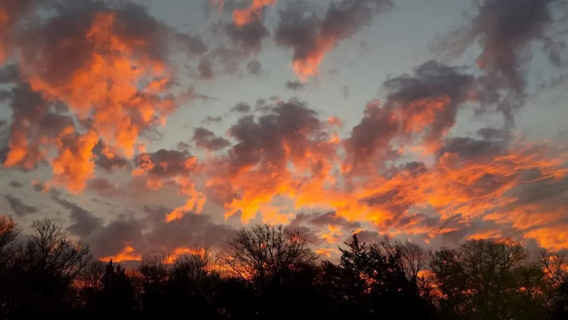 Winter Sky