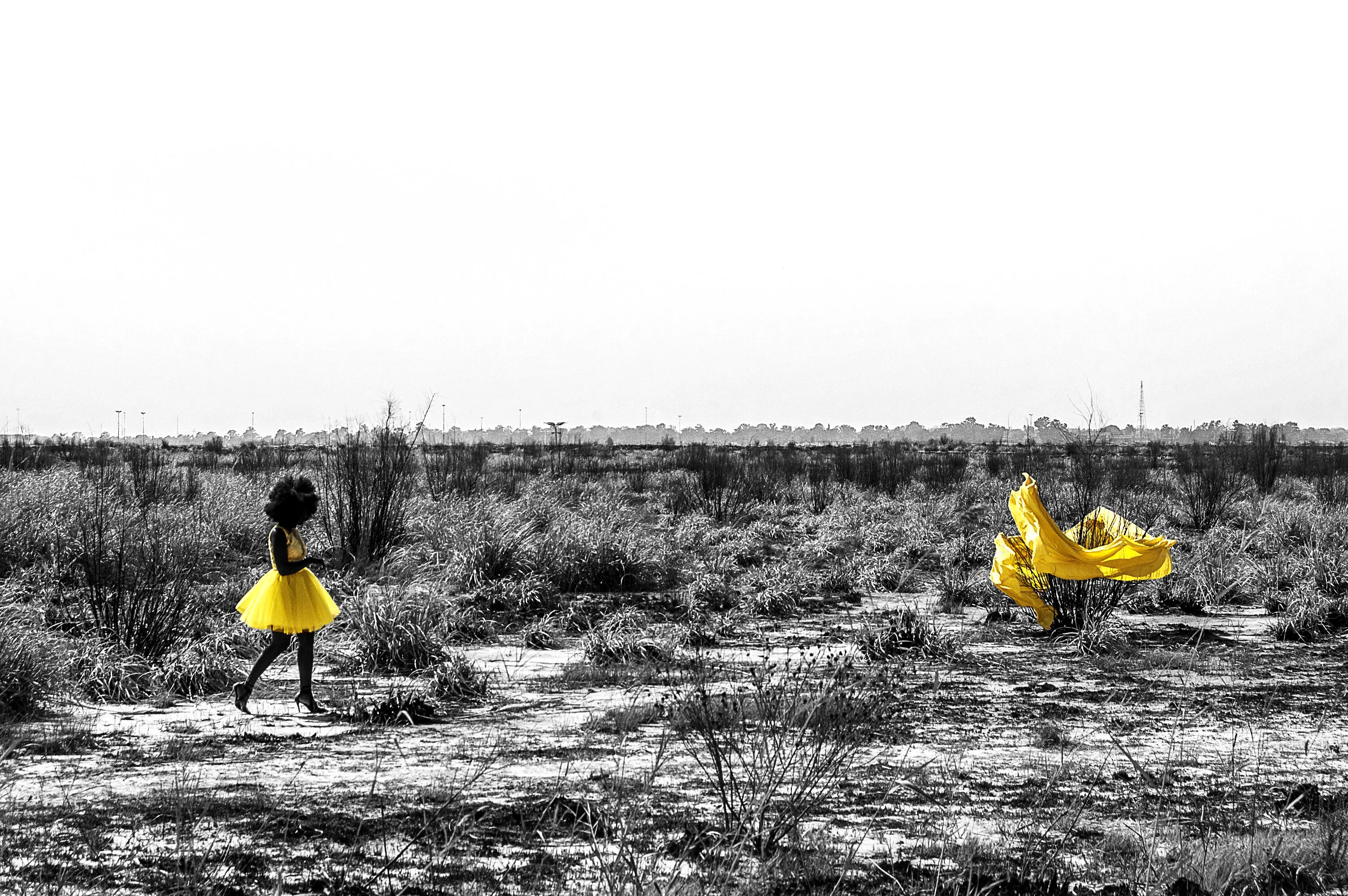 Yellow The Novel, My Zoe, South Africa 2018