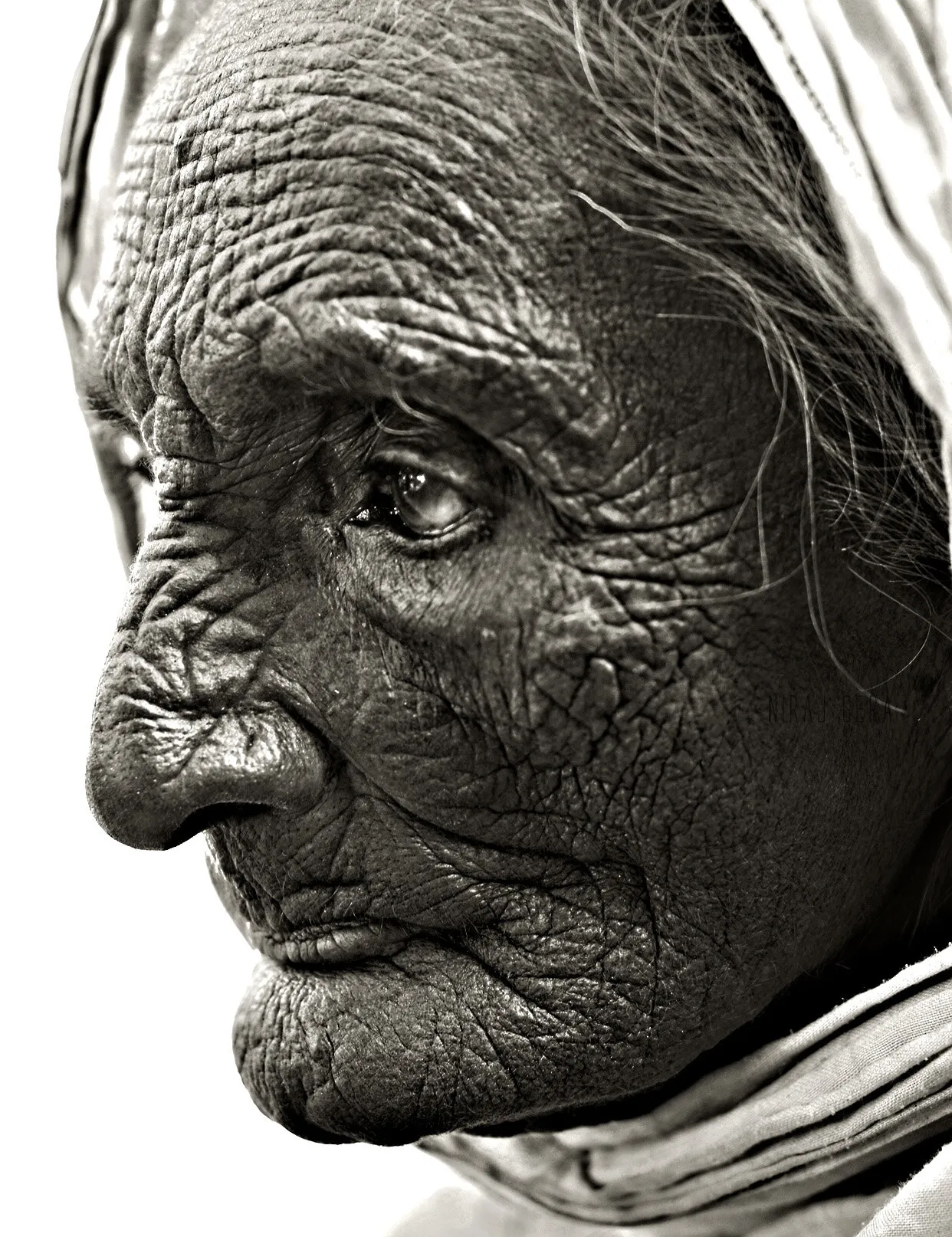 Engraved Sufferings..