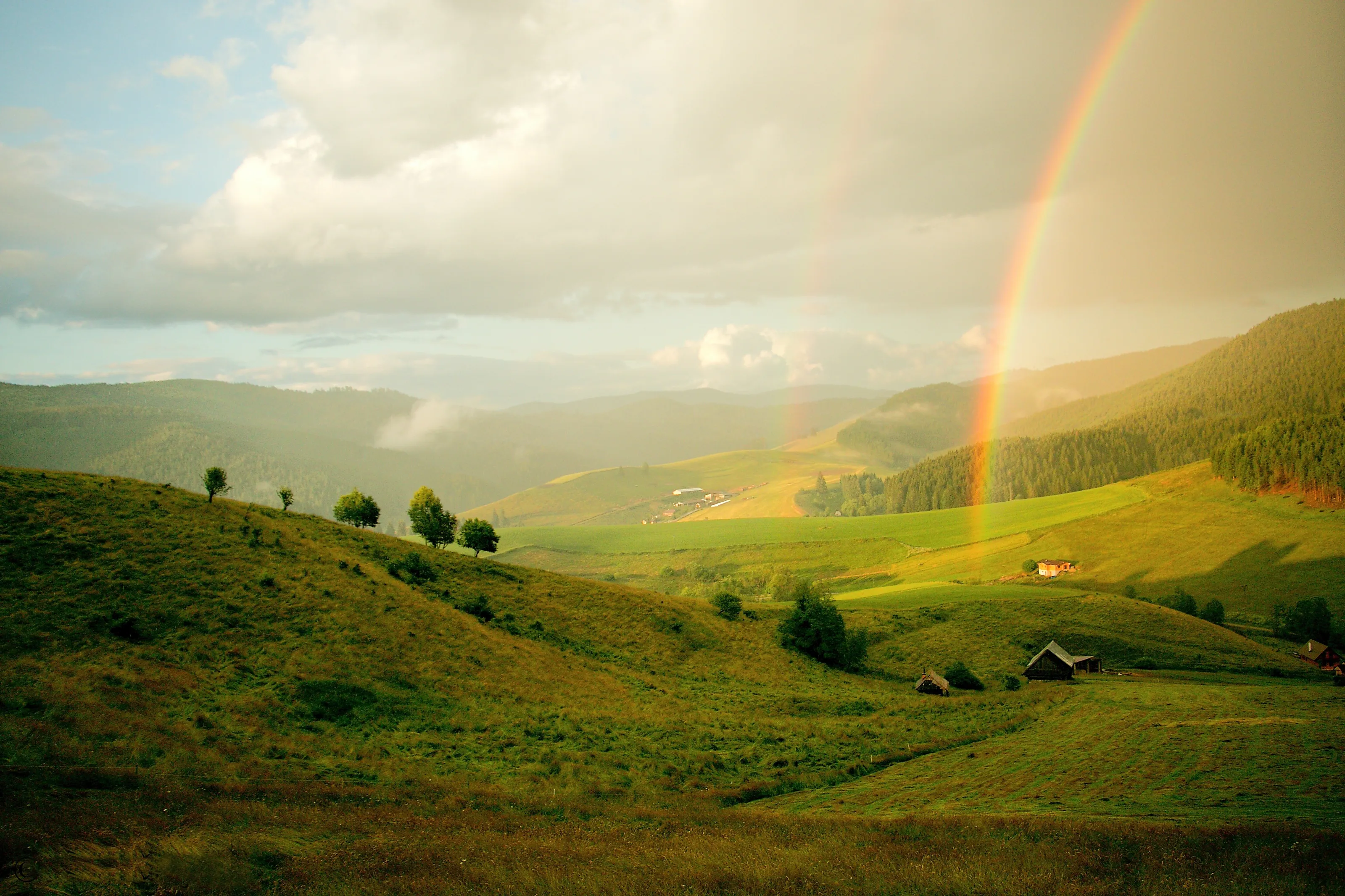 After Rain