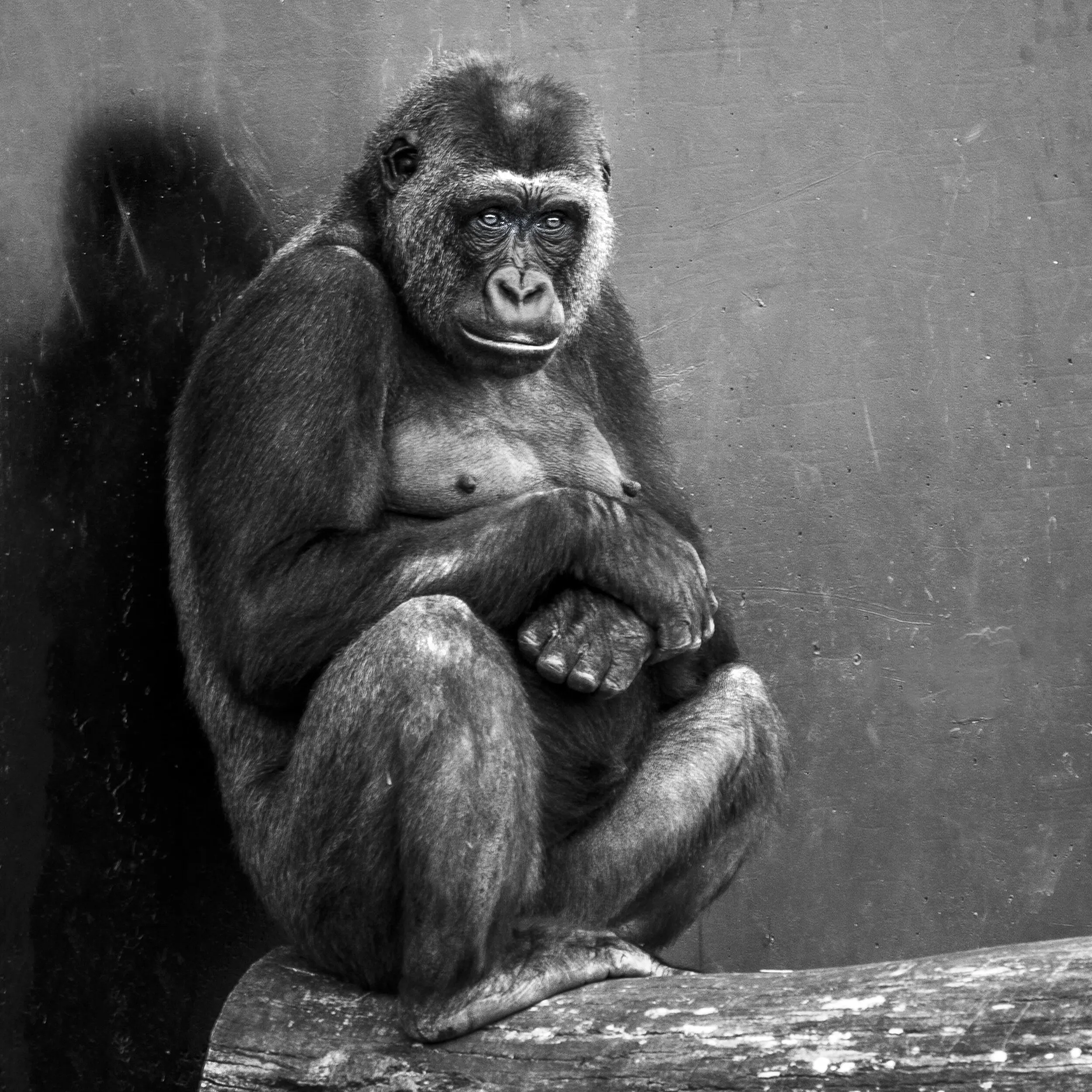 Pensive