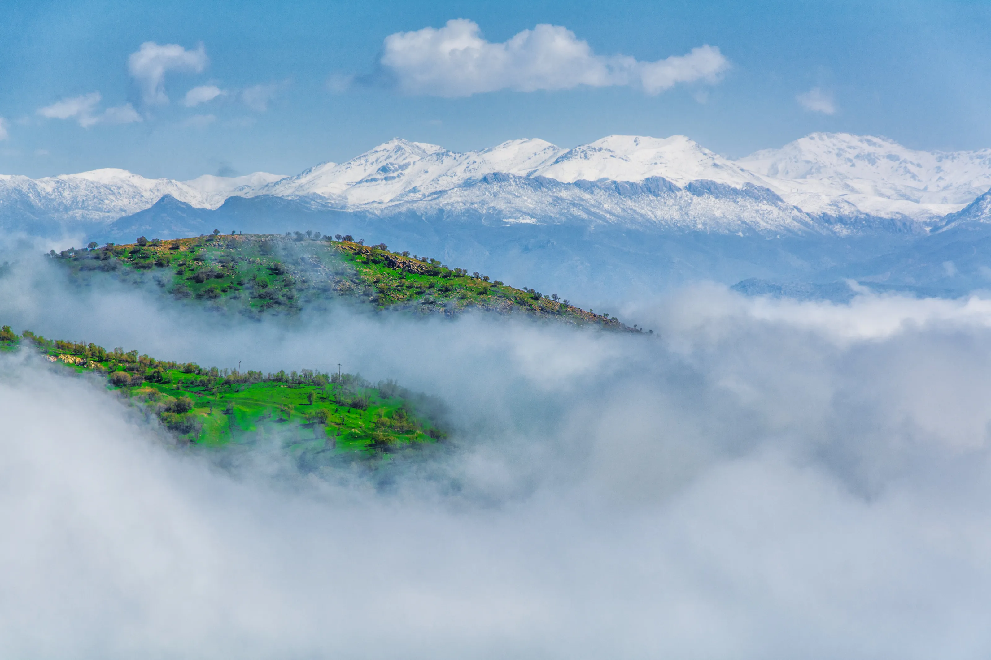 Srushti Sardasht