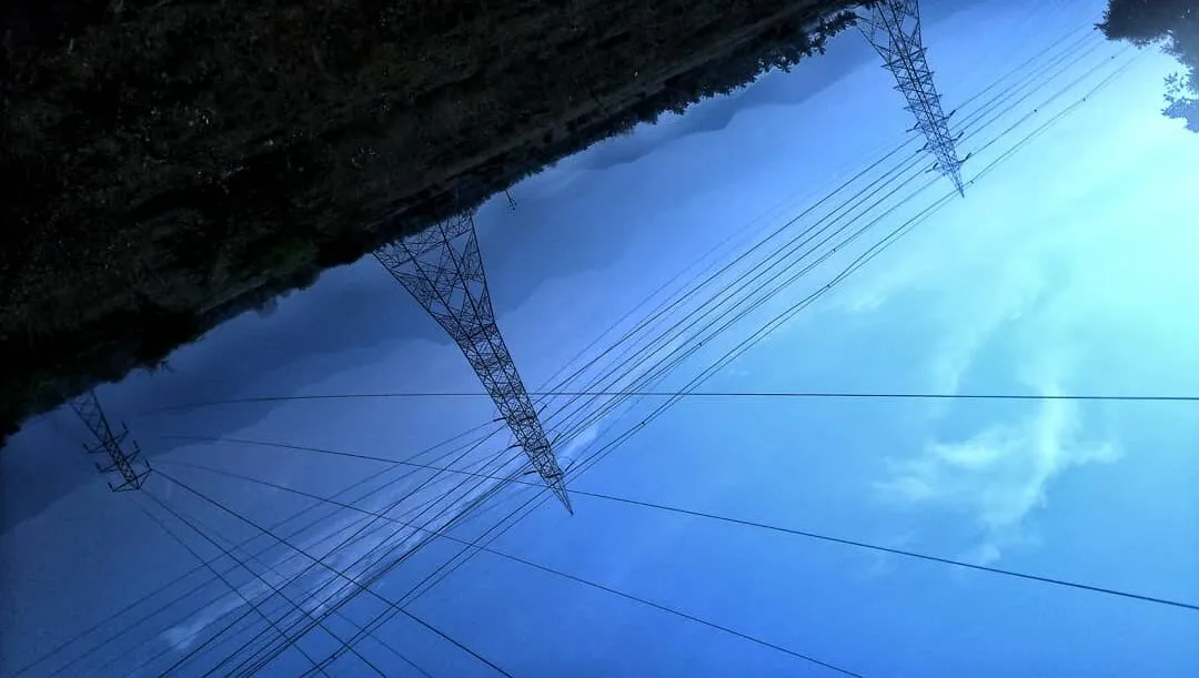 Blueviee