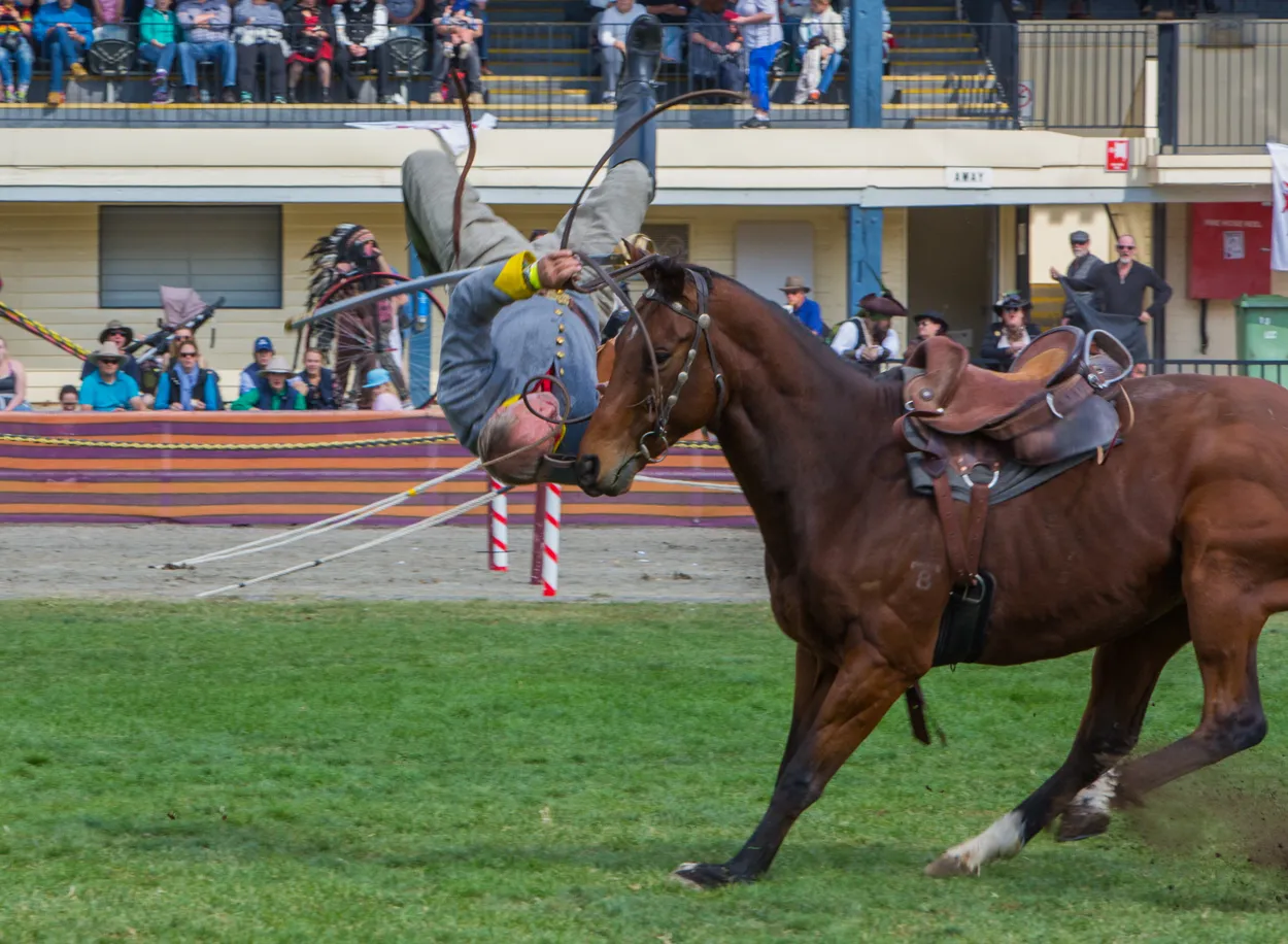 Entry 3120387