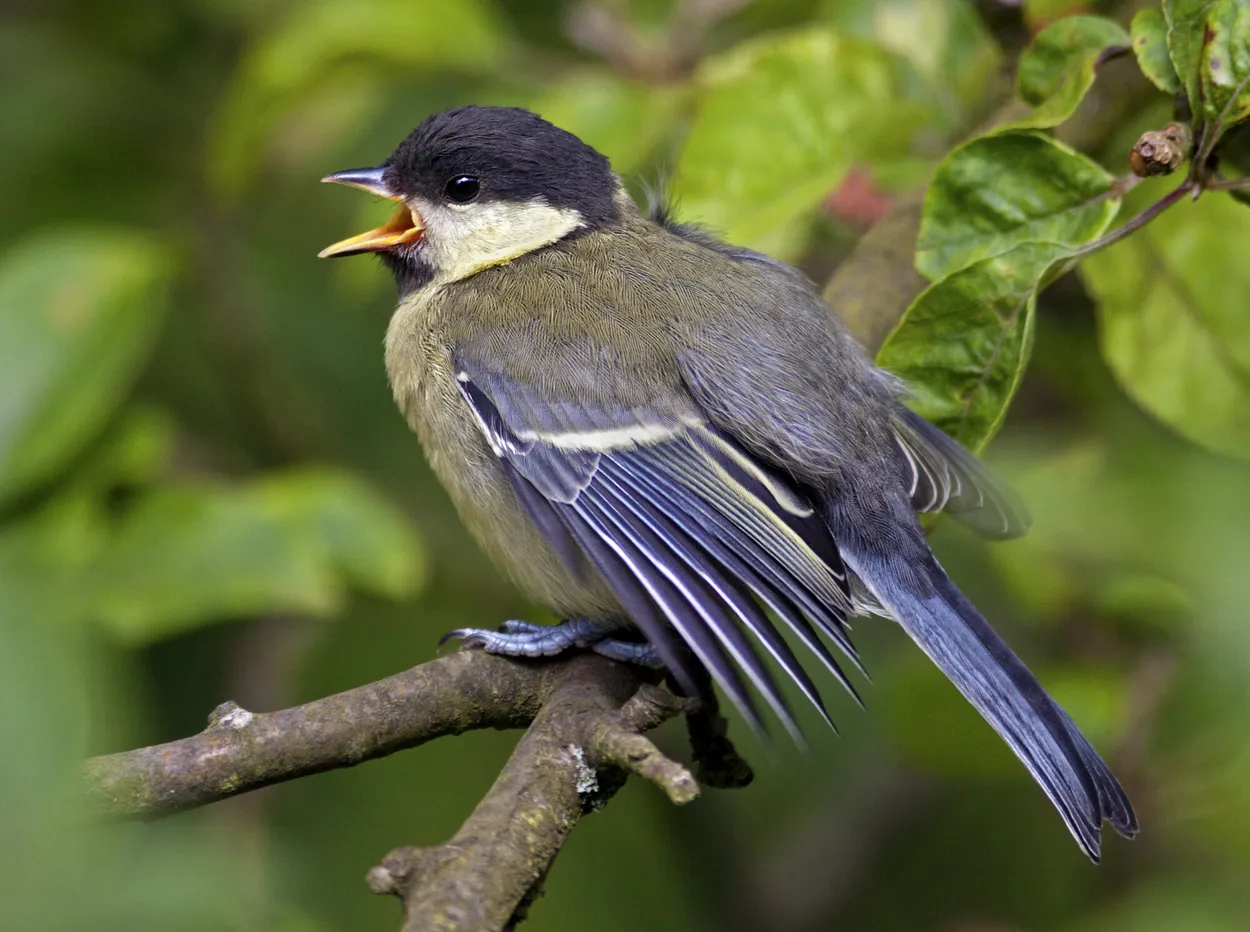 Entry 5412039